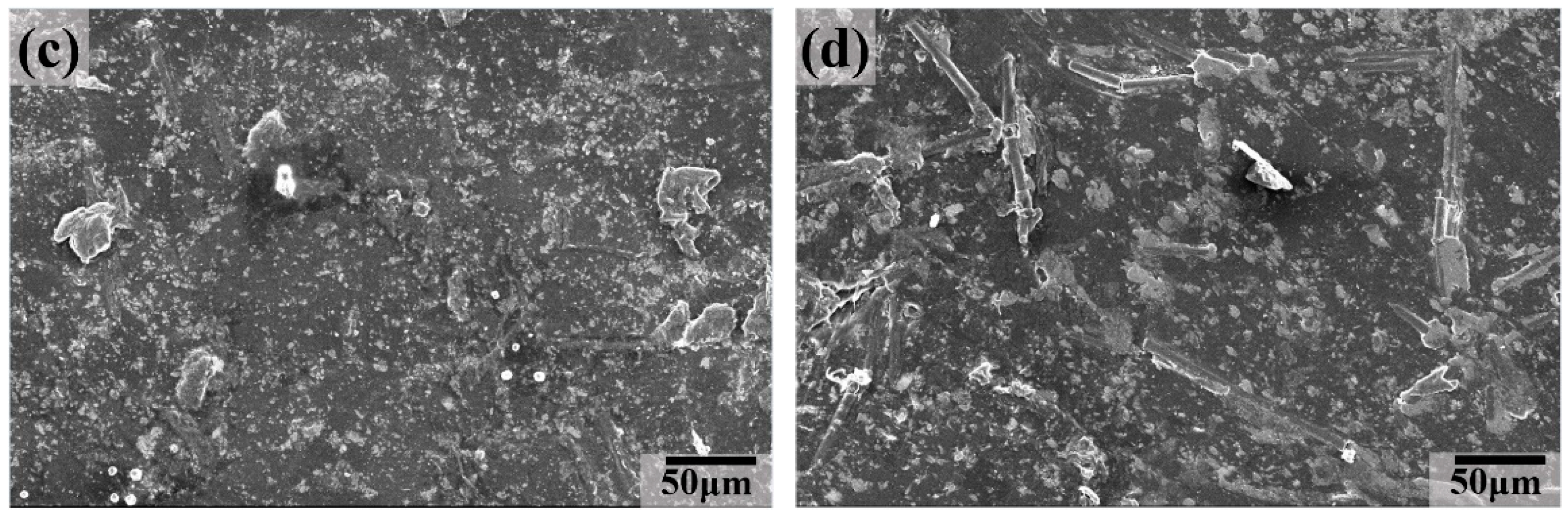 Polymers 16 02059 g011b