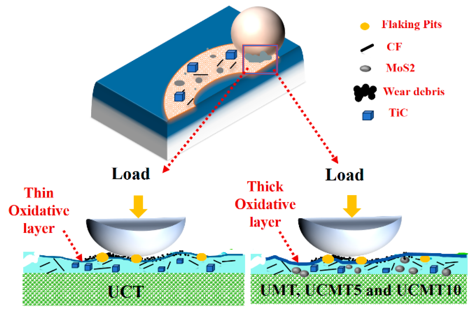 Polymers 16 02059 g014