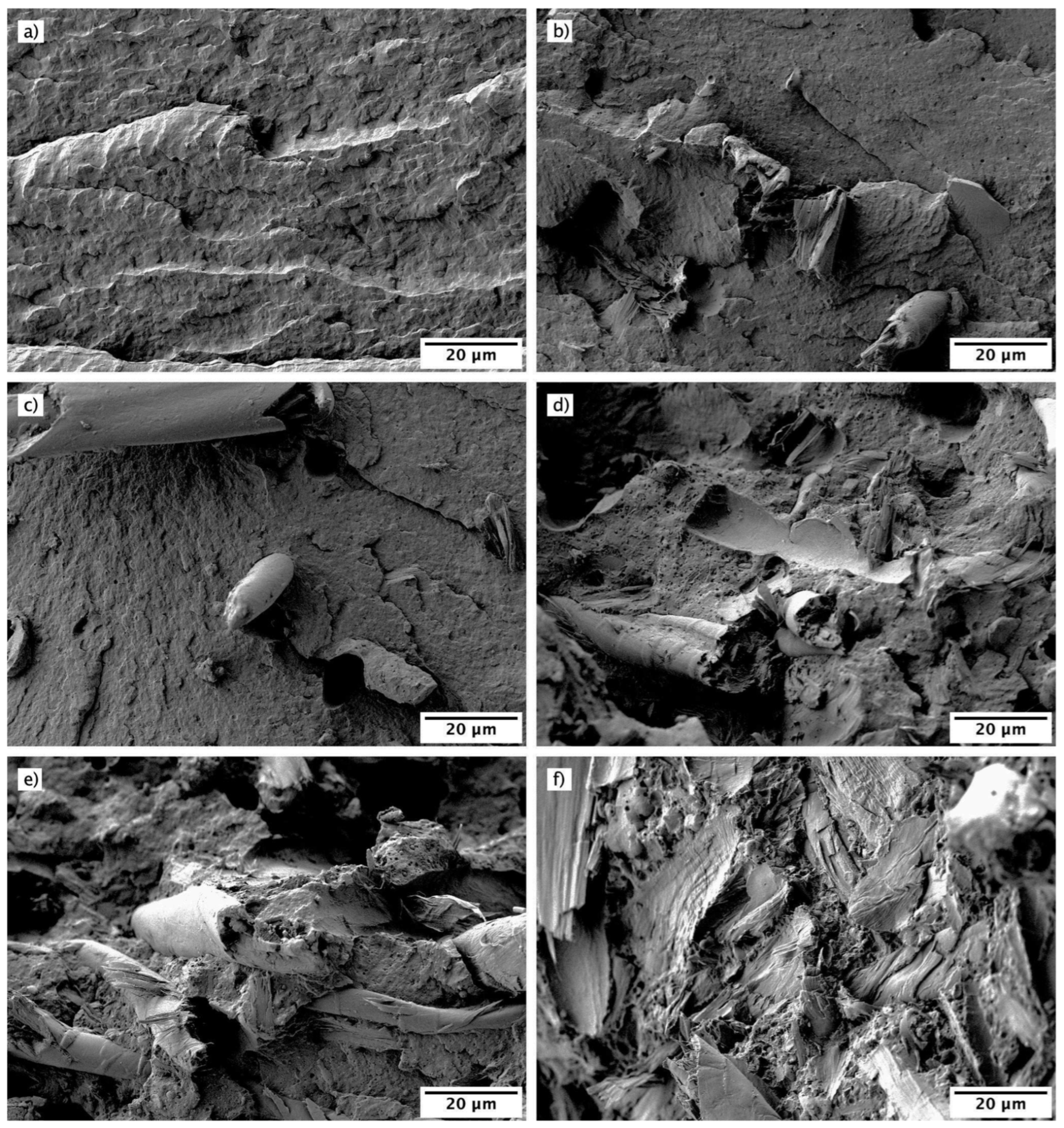 Polymers 16 02061 g005