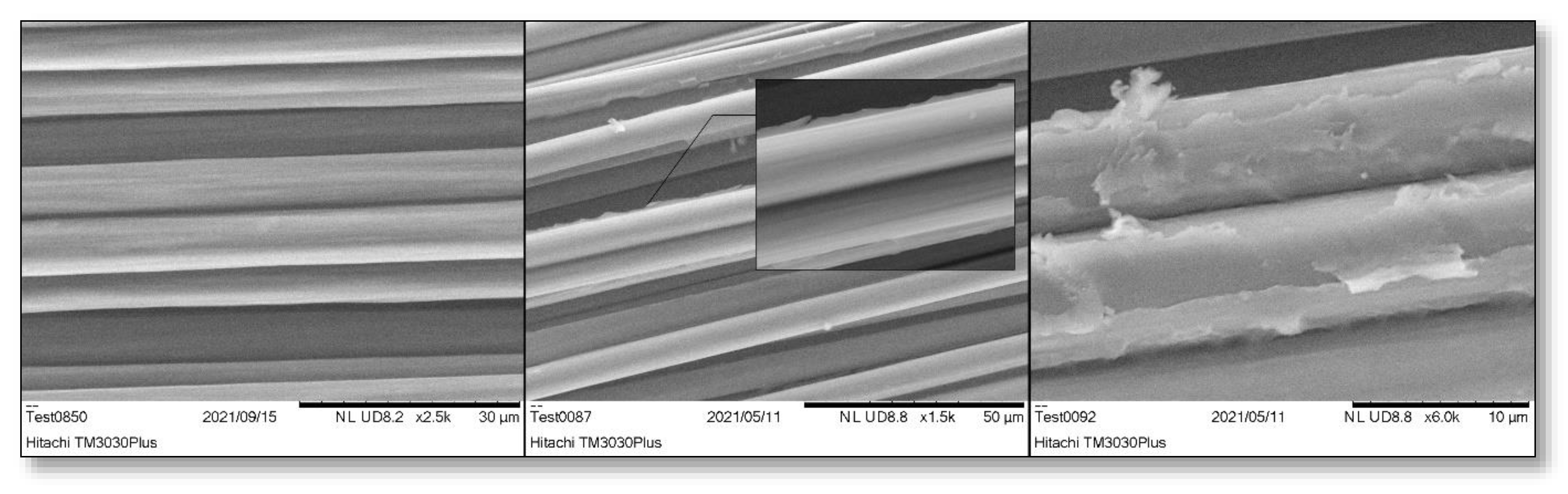 Polymers 16 02062 g010