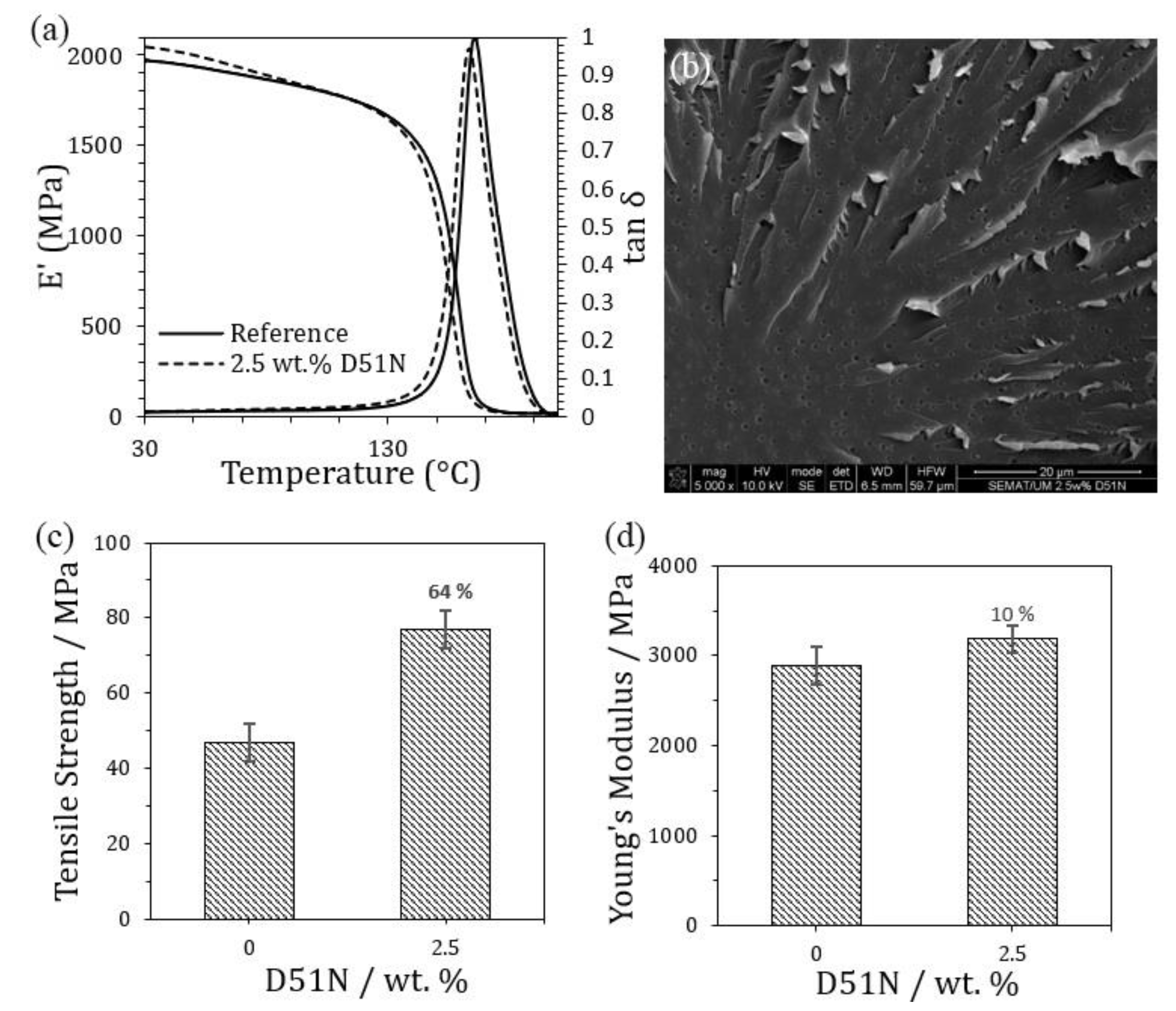 Polymers 16 02062 g014