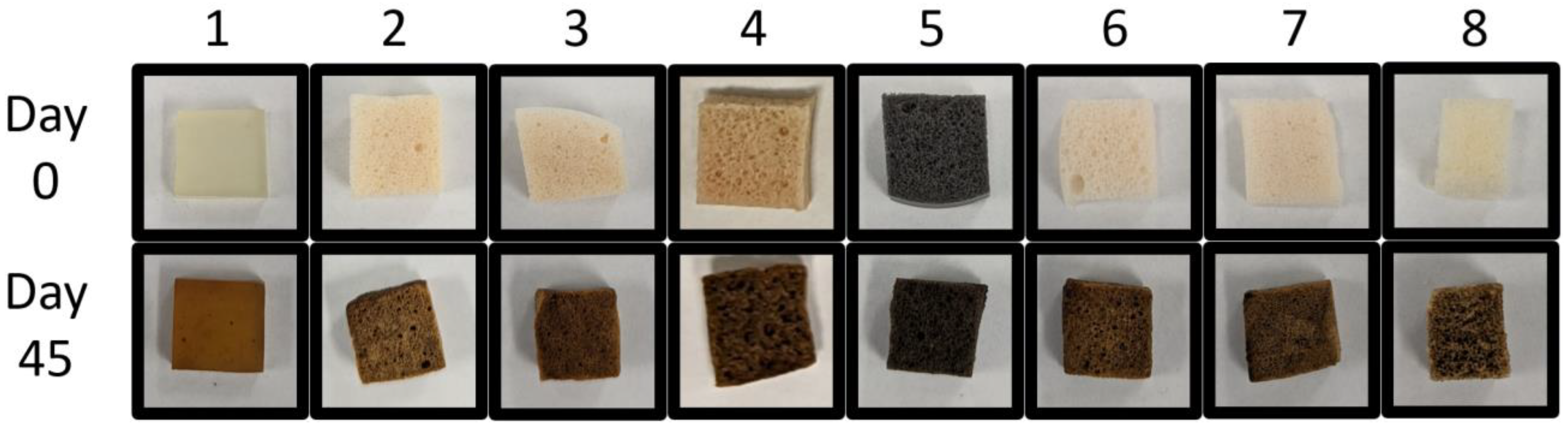 Polymers 16 02071 g004