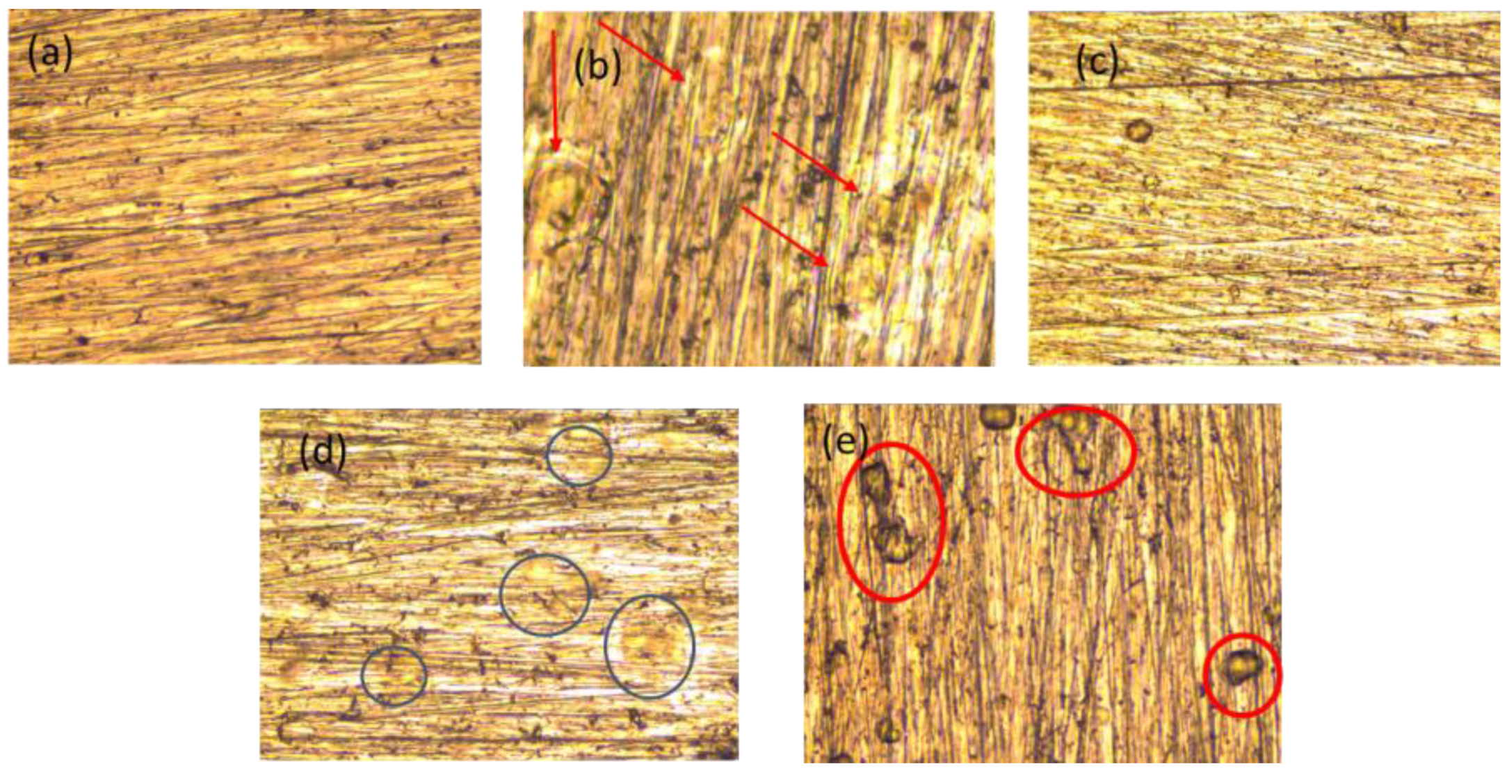 Polymers 16 02073 g007