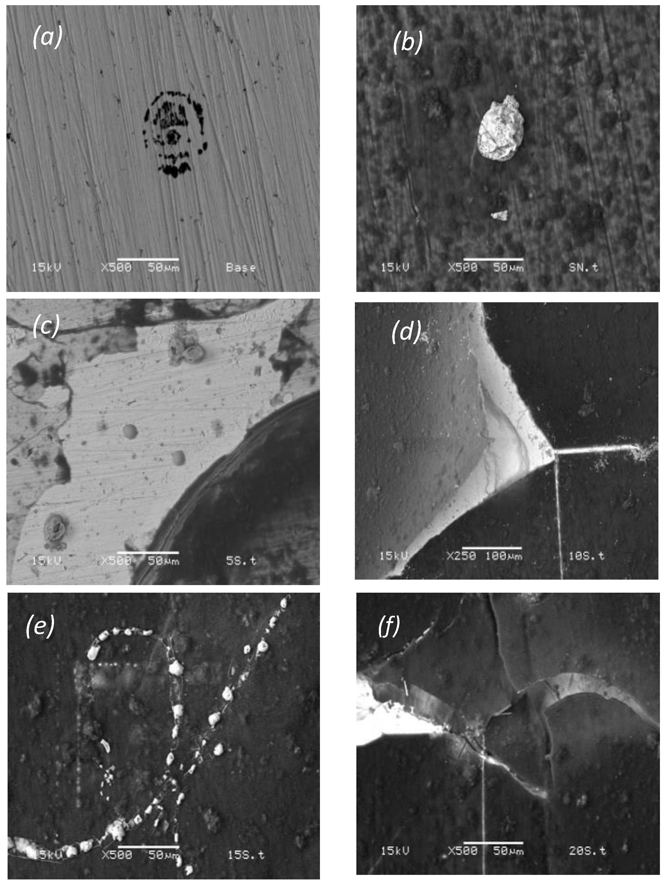 Polymers 16 02073 g011