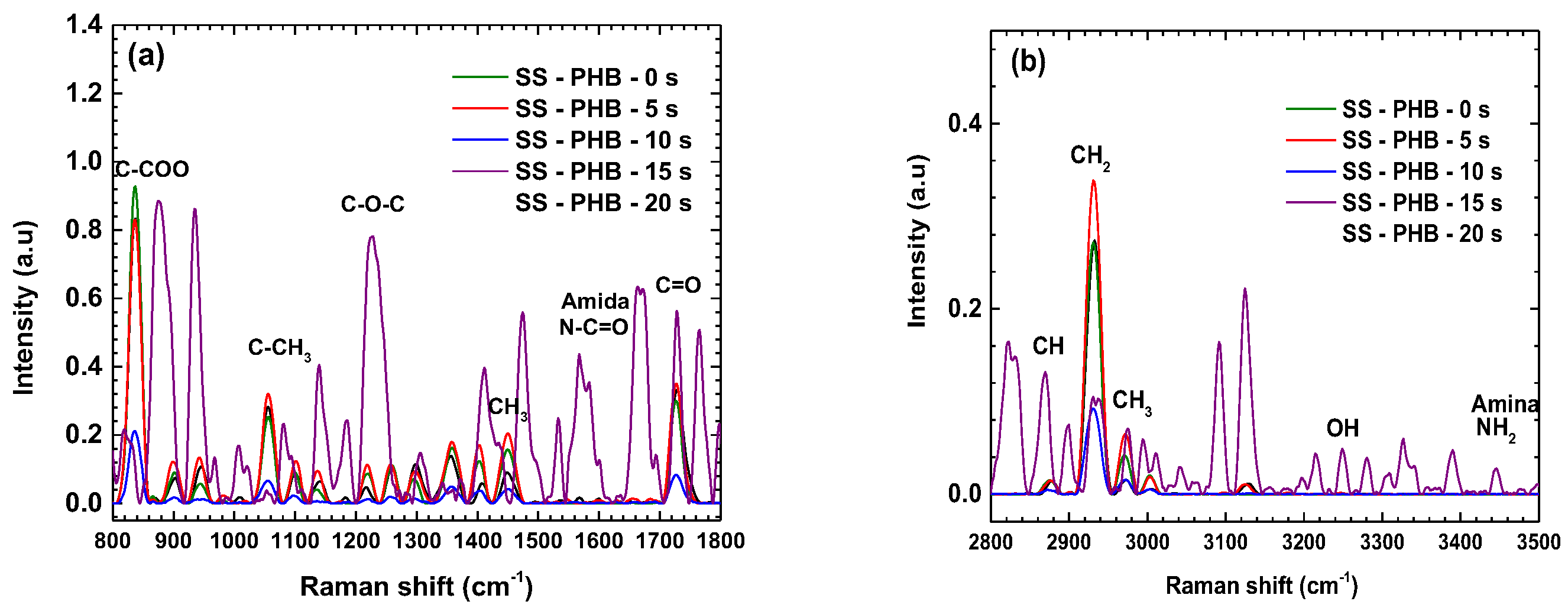 Polymers 16 02073 g012