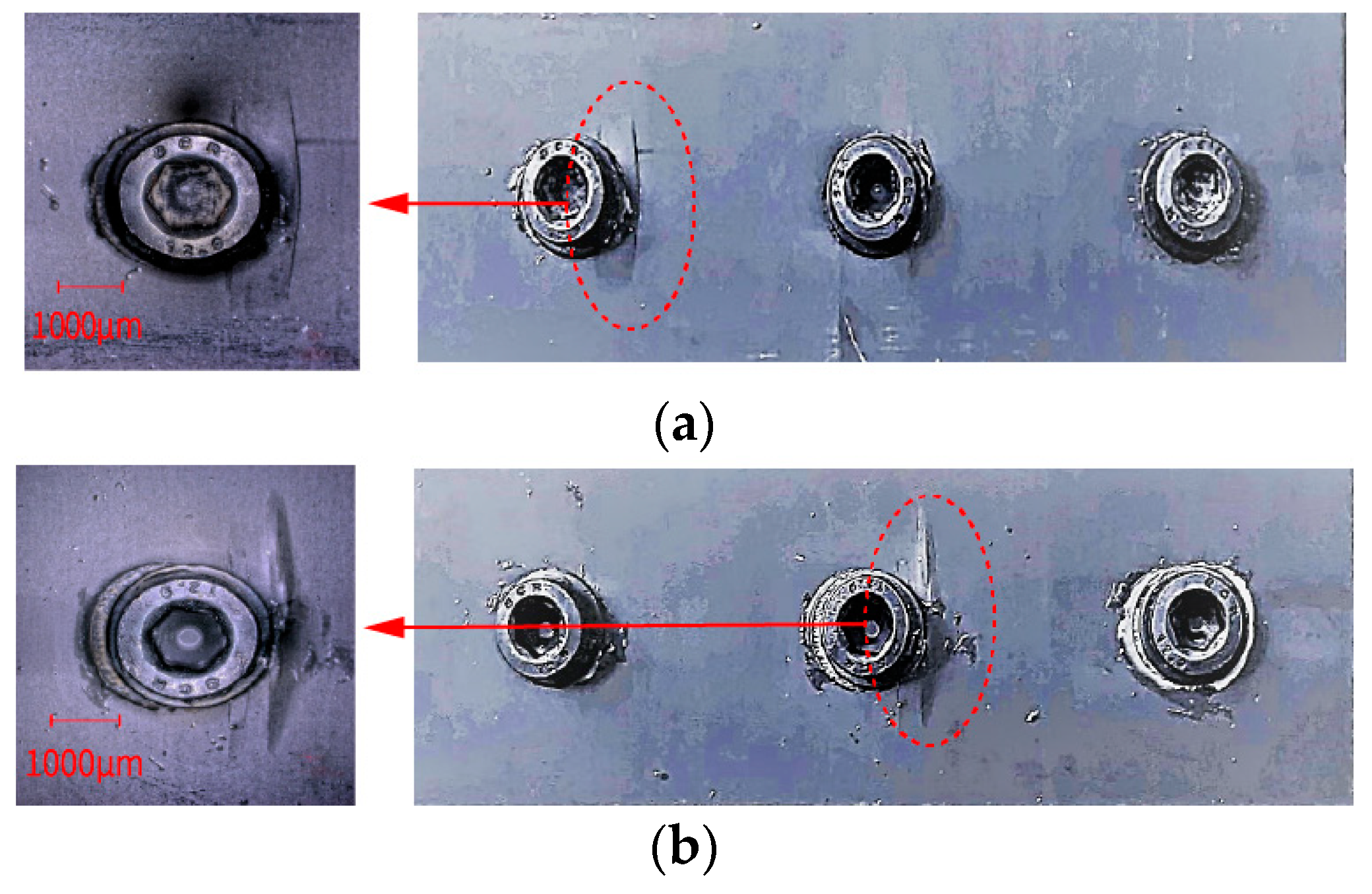 Polymers 16 02074 g004