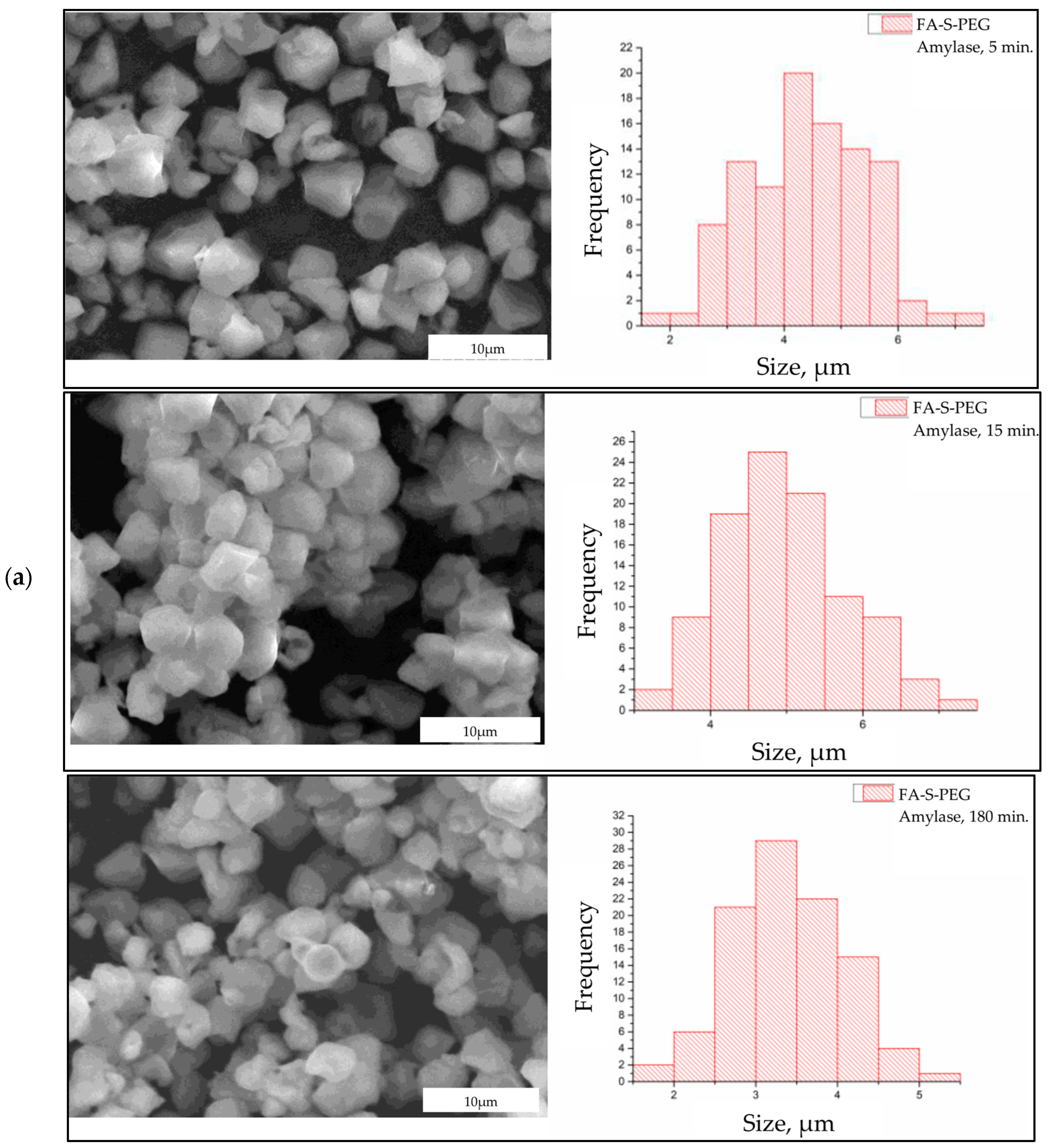 Polymers 16 02075 g004a