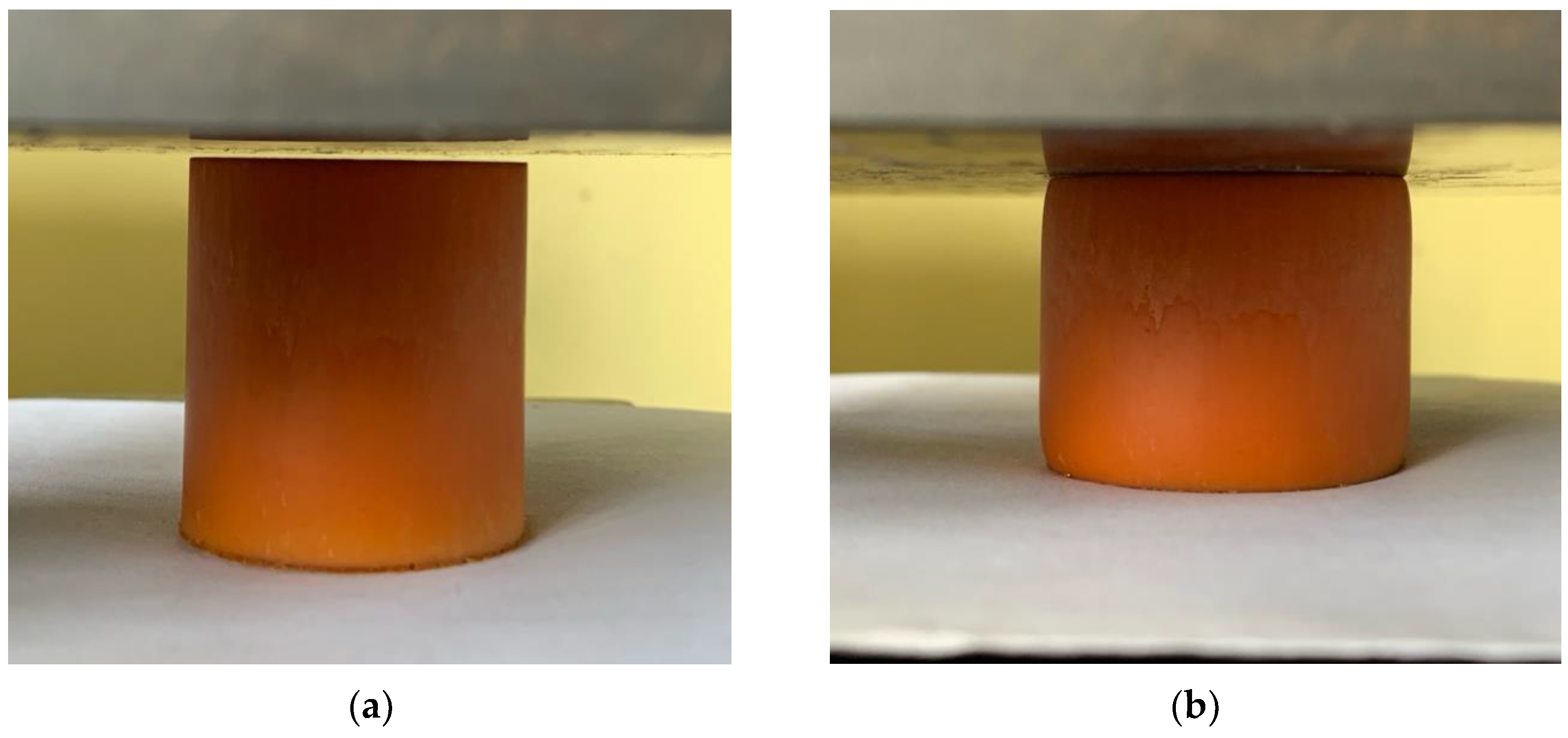 Polymers 16 02077 g010