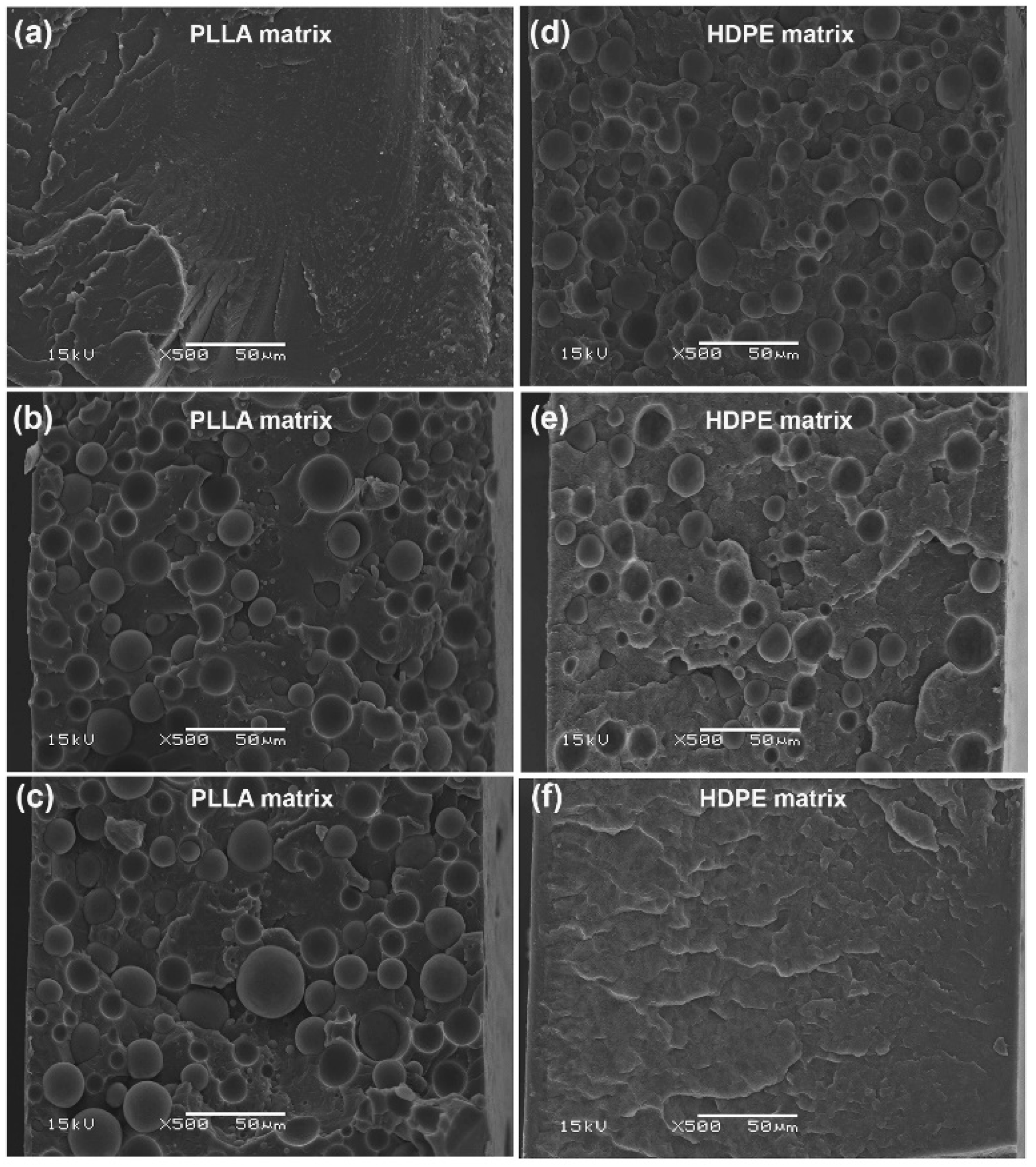 Polymers 16 02078 g006
