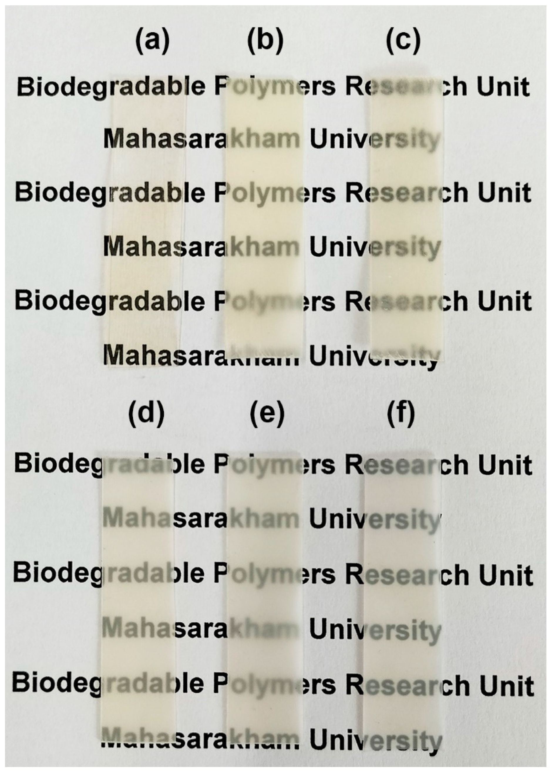 Polymers 16 02078 g010