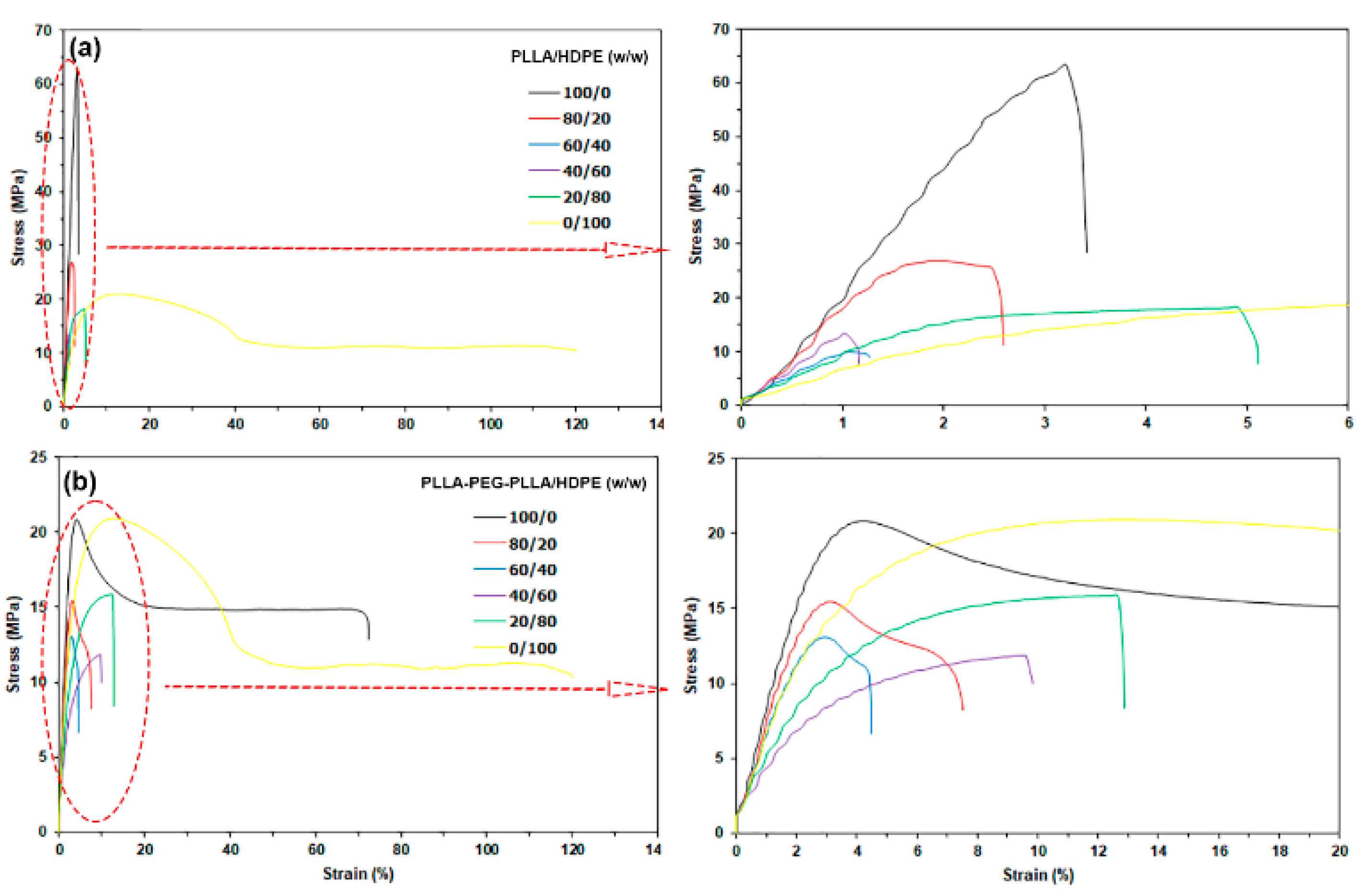 Polymers 16 02078 g011