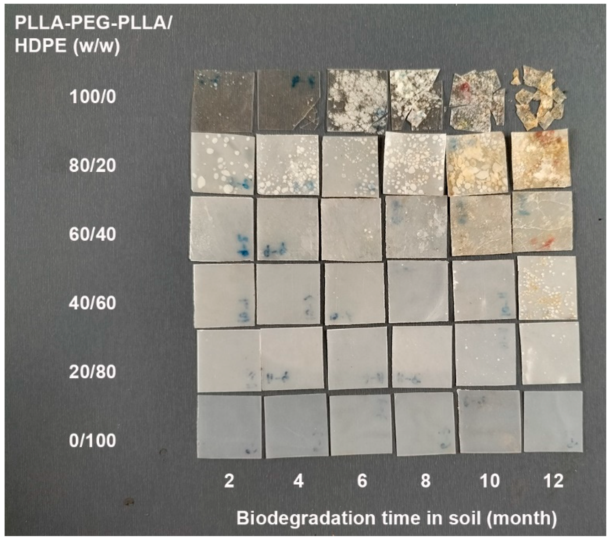 Polymers 16 02078 g015