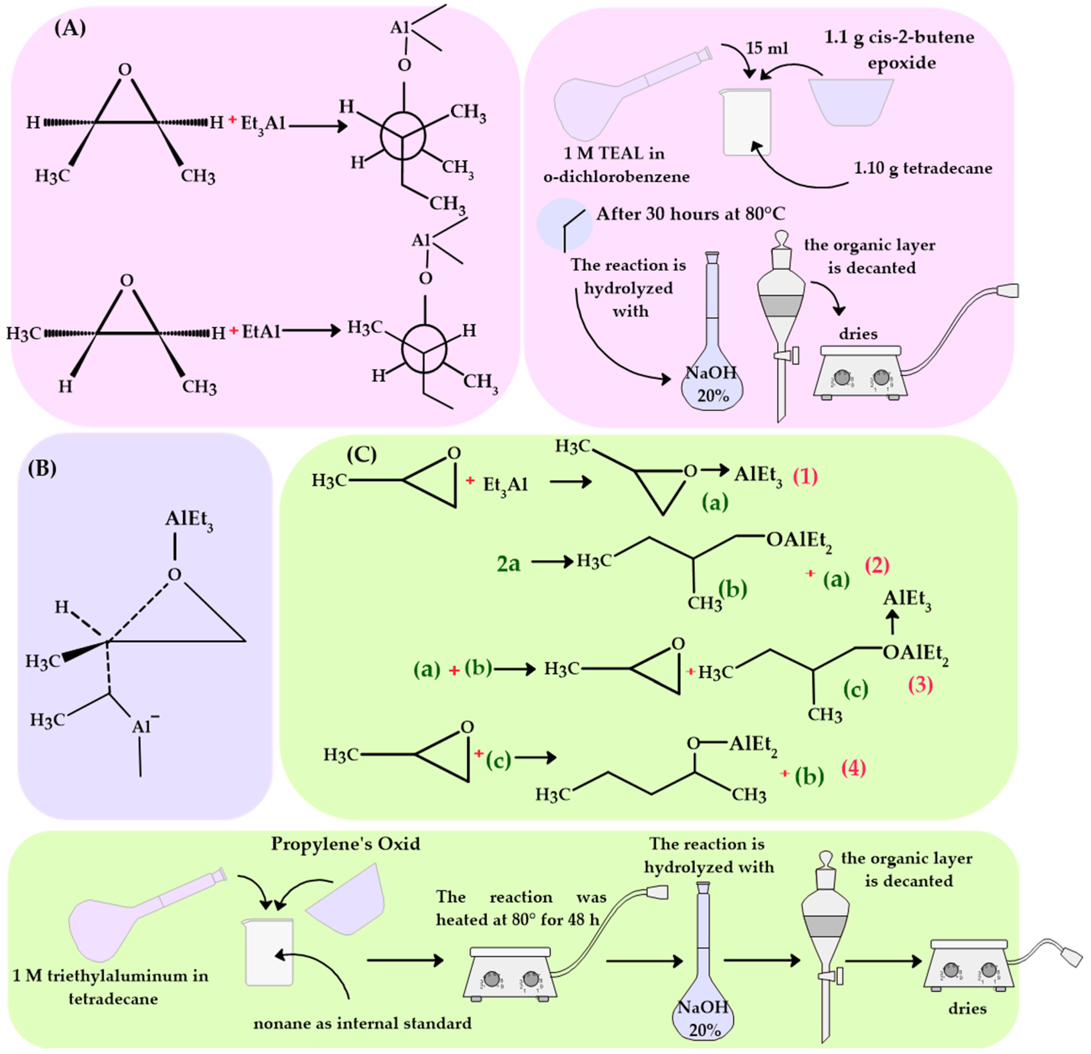 Polymers 16 02080 g002