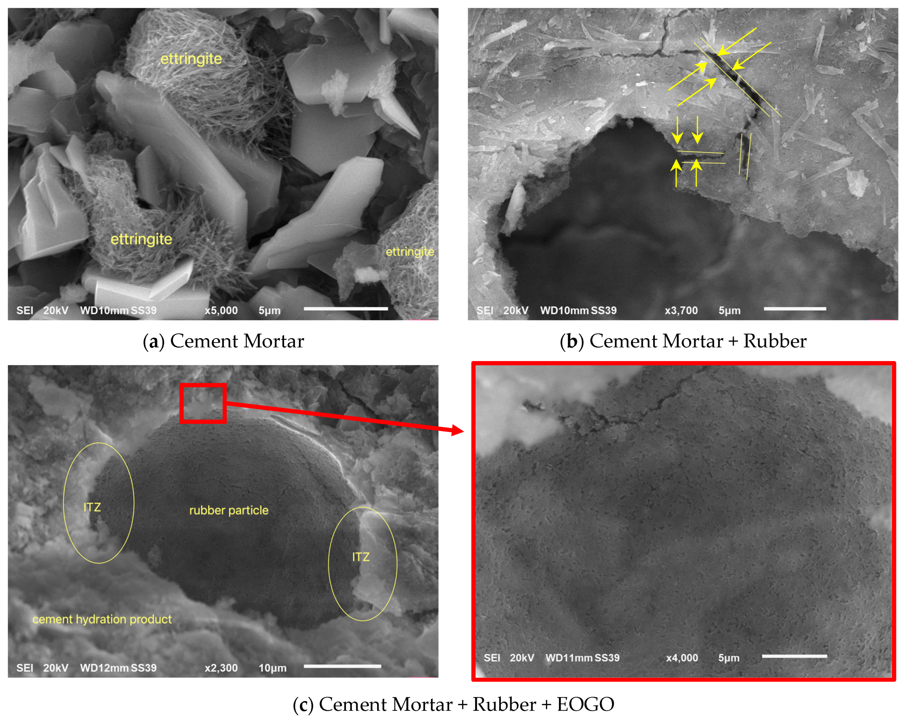 Polymers 16 02082 g010