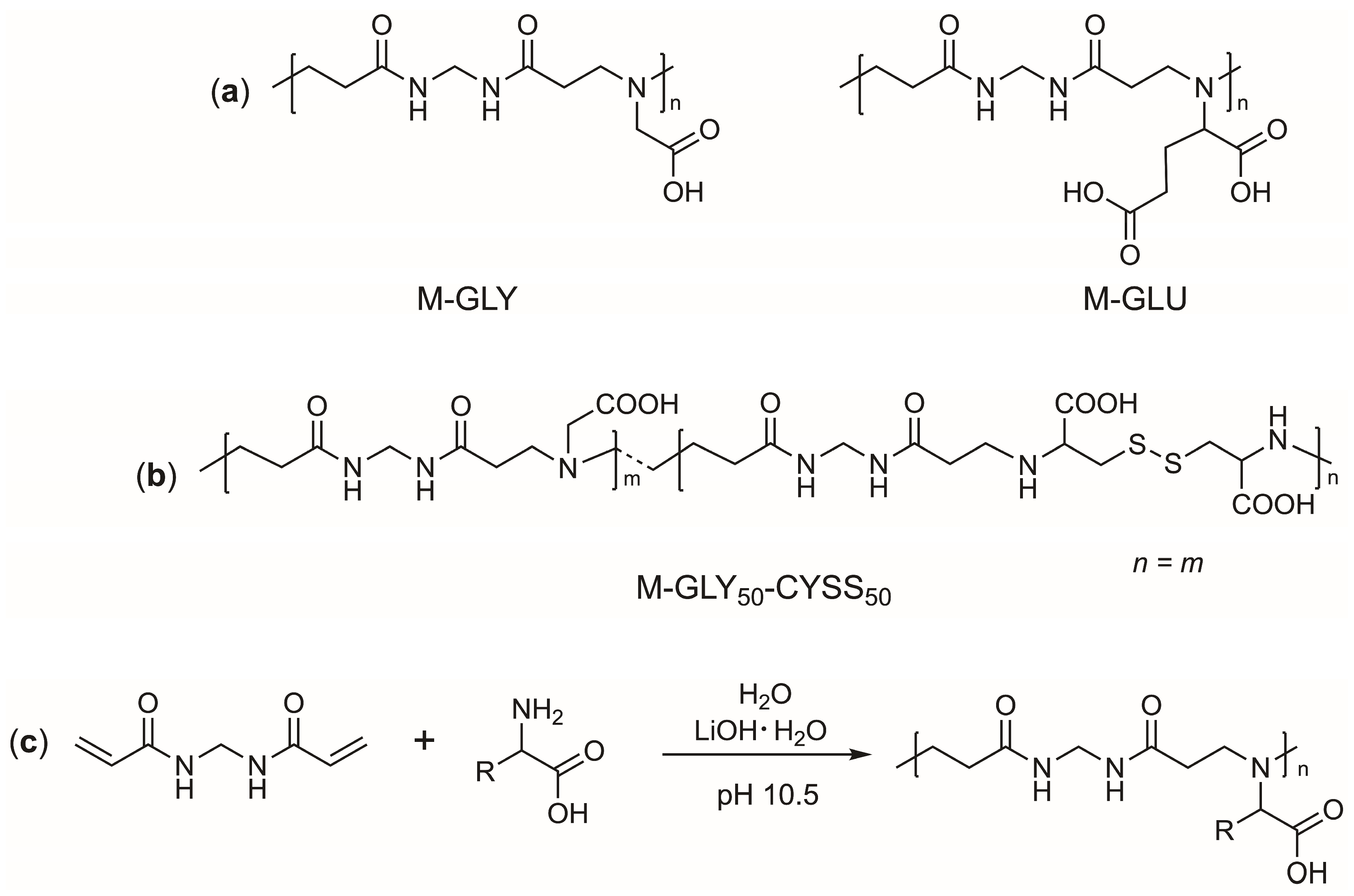 Polymers 16 02087 g001