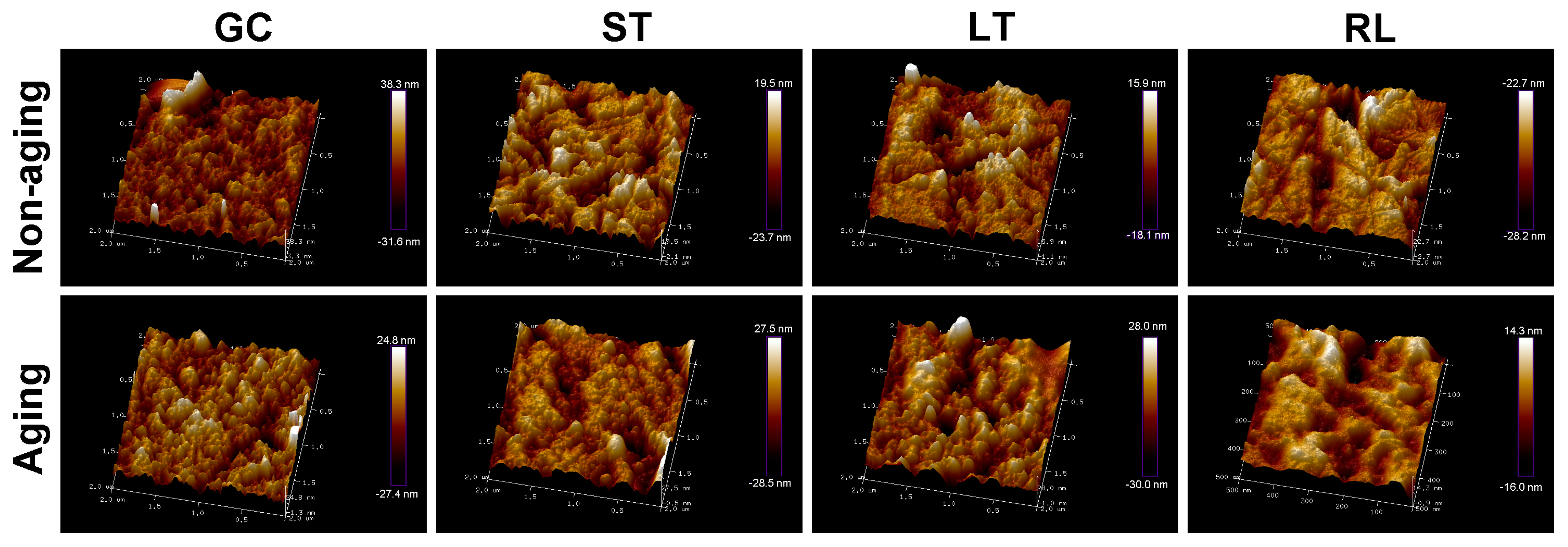 Polymers 16 02089 g004