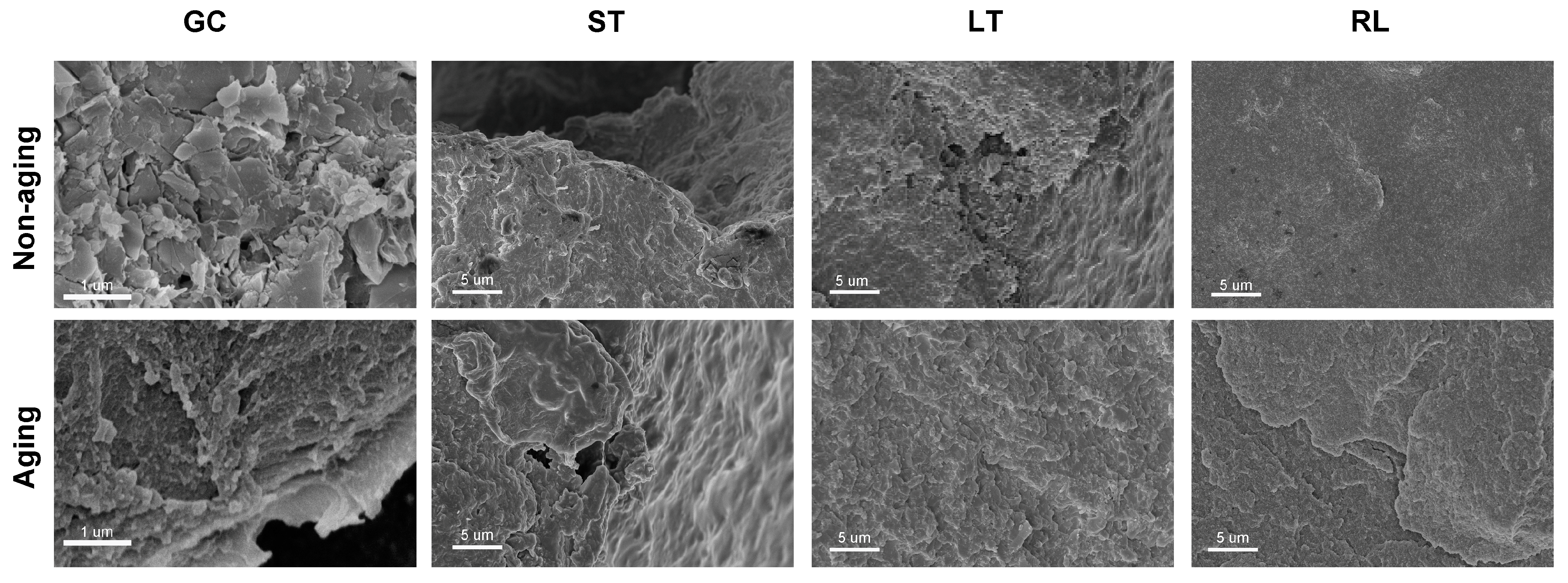 Polymers 16 02089 g006