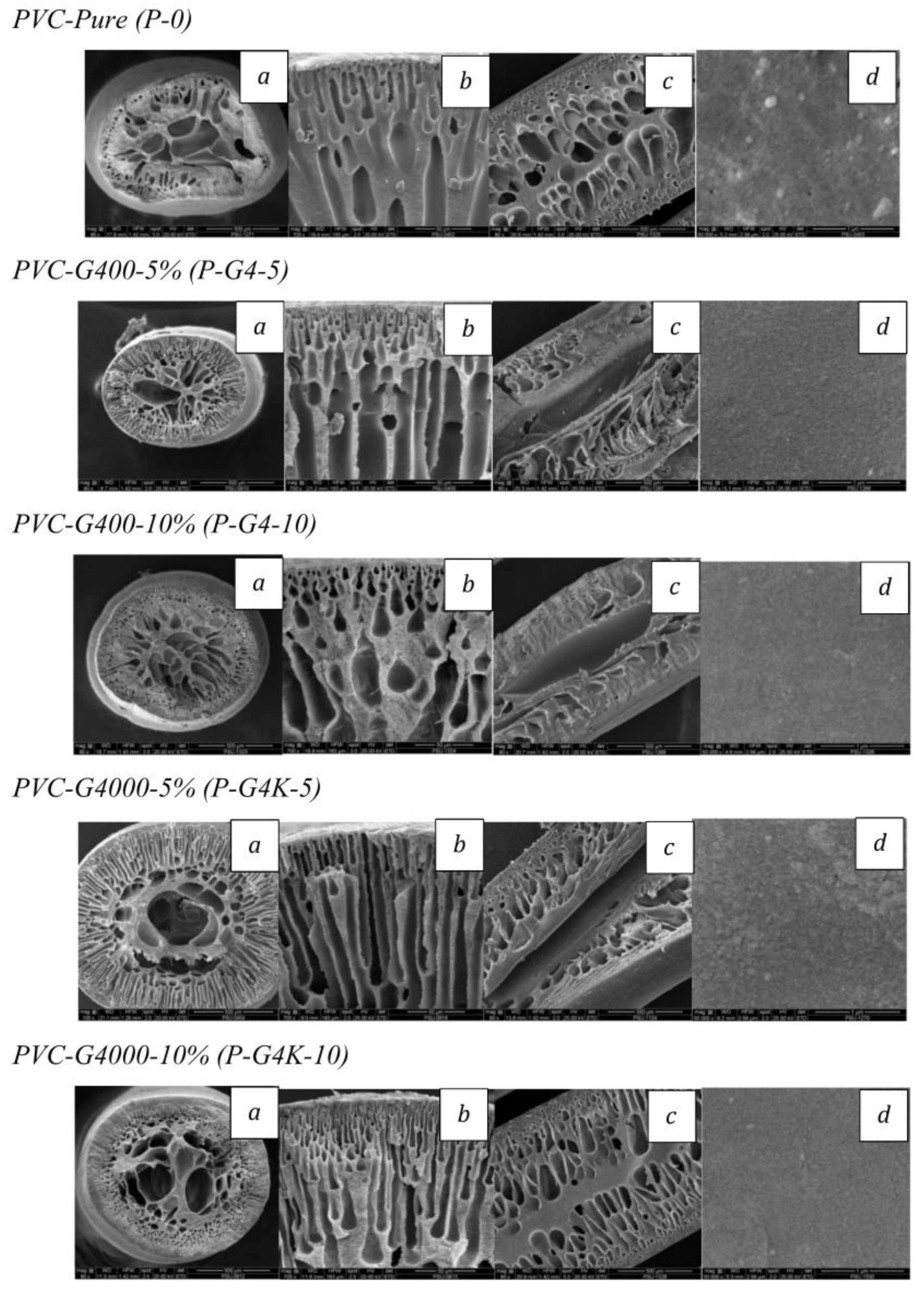 Polymers 16 02090 g003