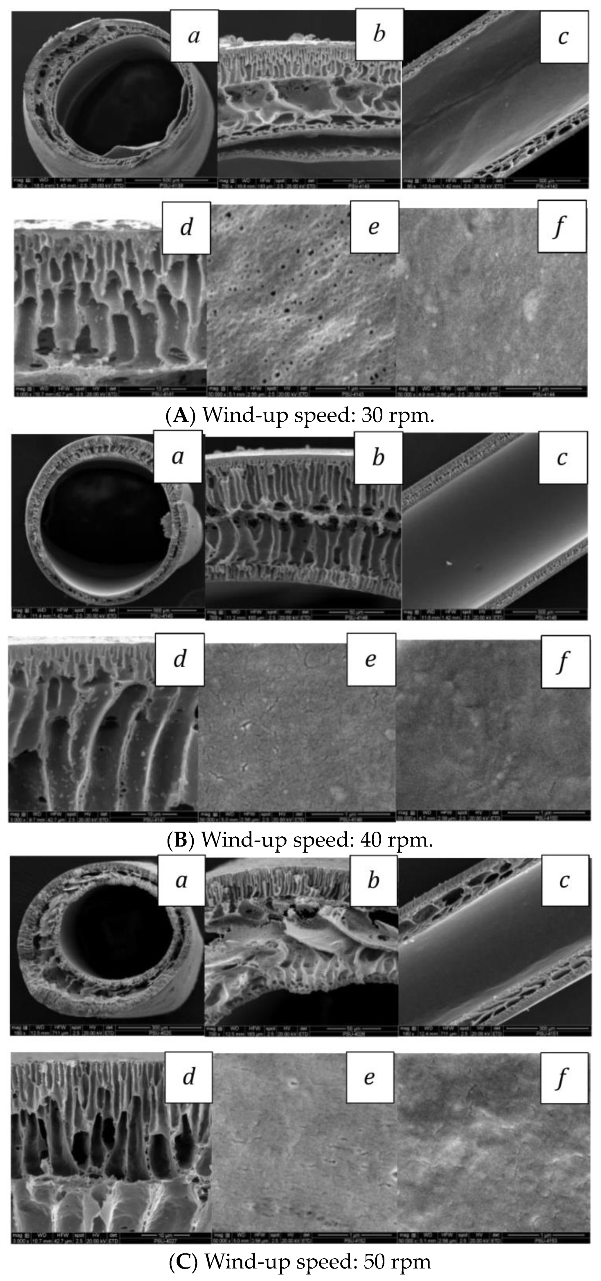 Polymers 16 02090 g006