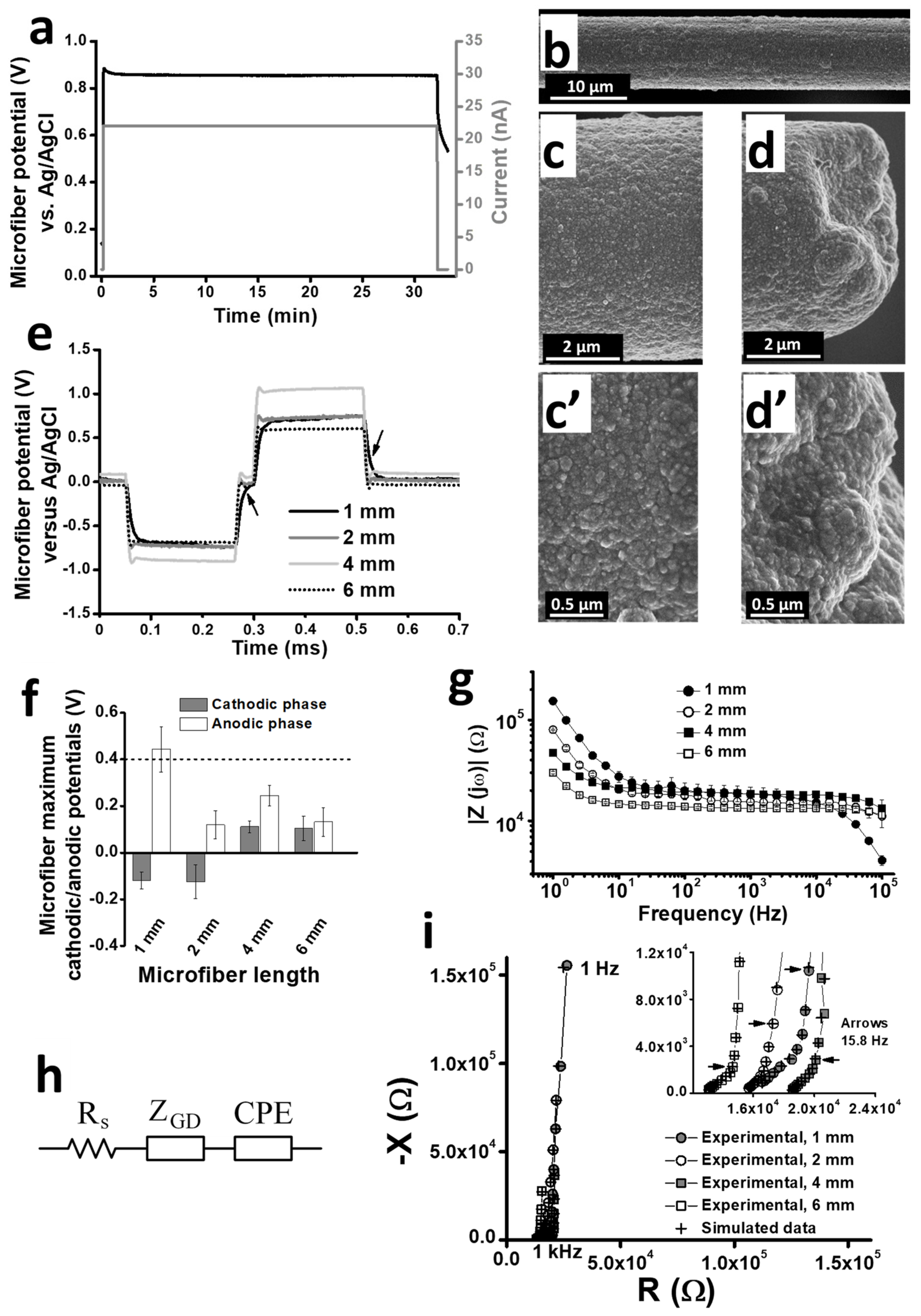 Polymers 16 02093 g001