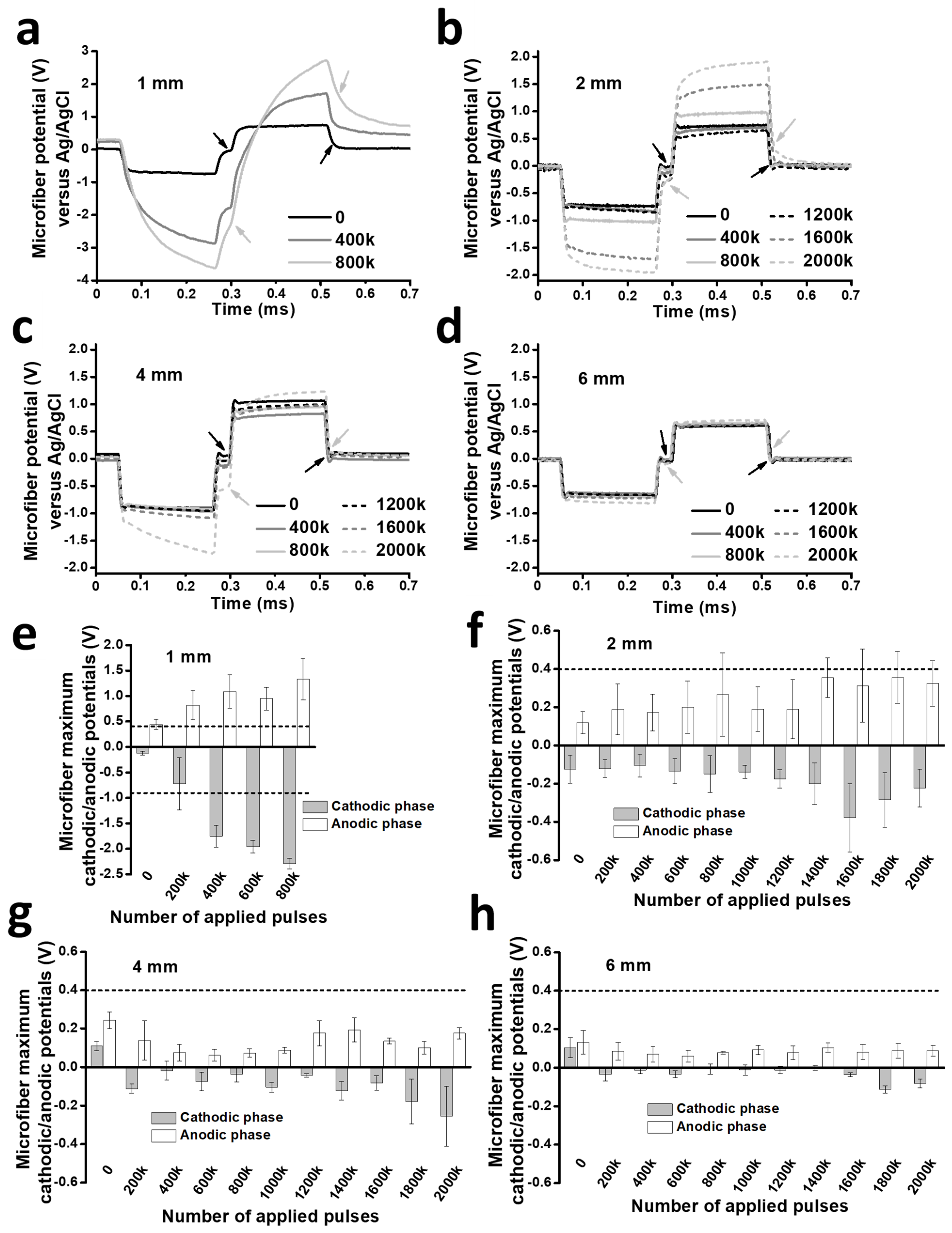 Polymers 16 02093 g002