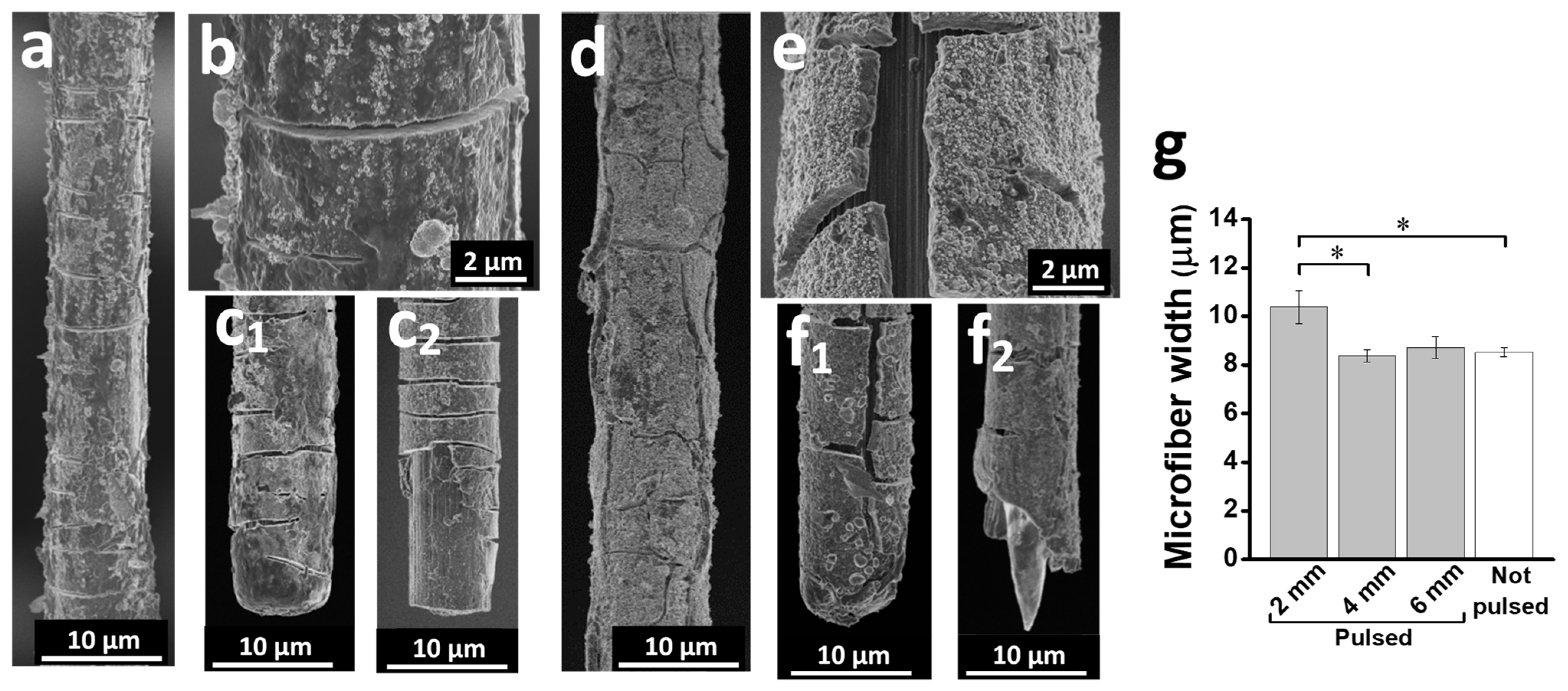 Polymers 16 02093 g004