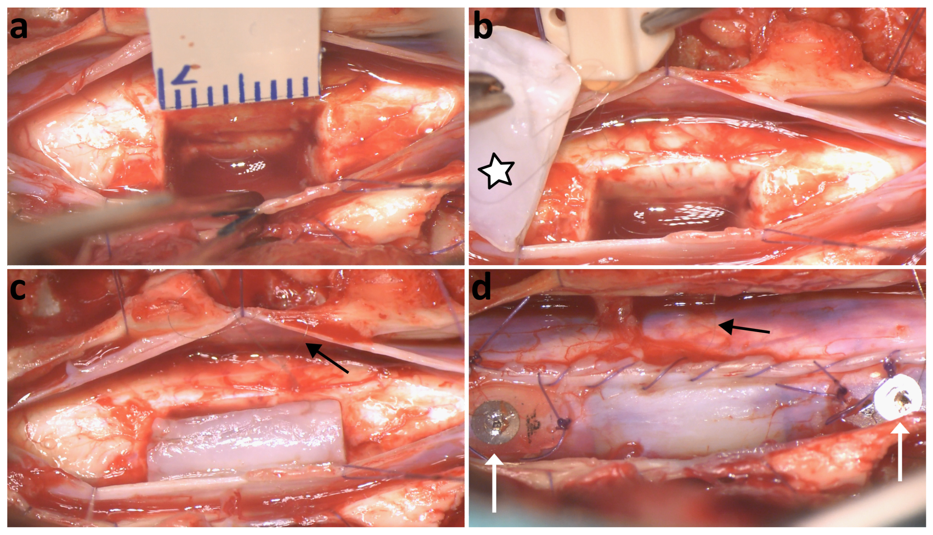 Polymers 16 02093 g006
