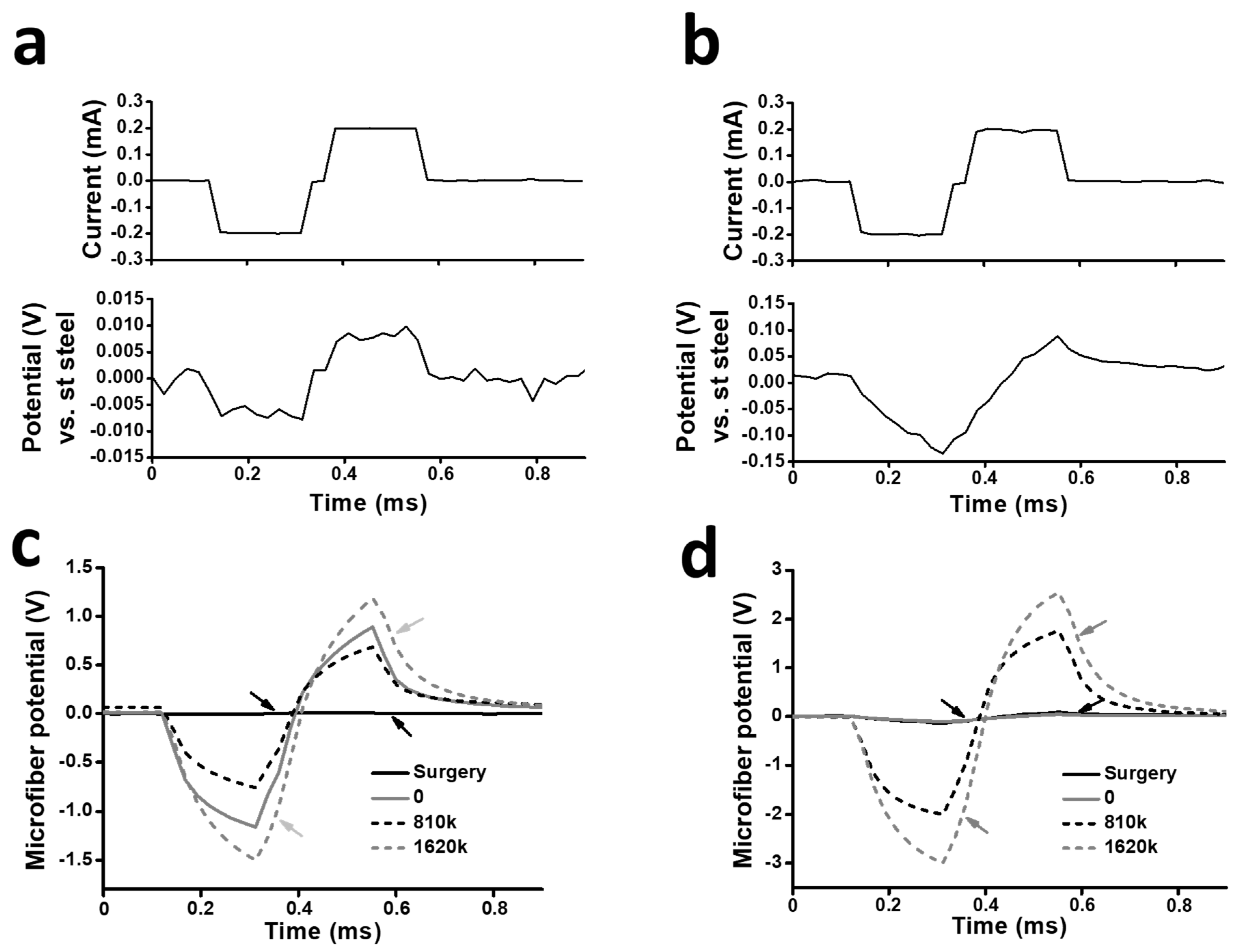 Polymers 16 02093 g007a