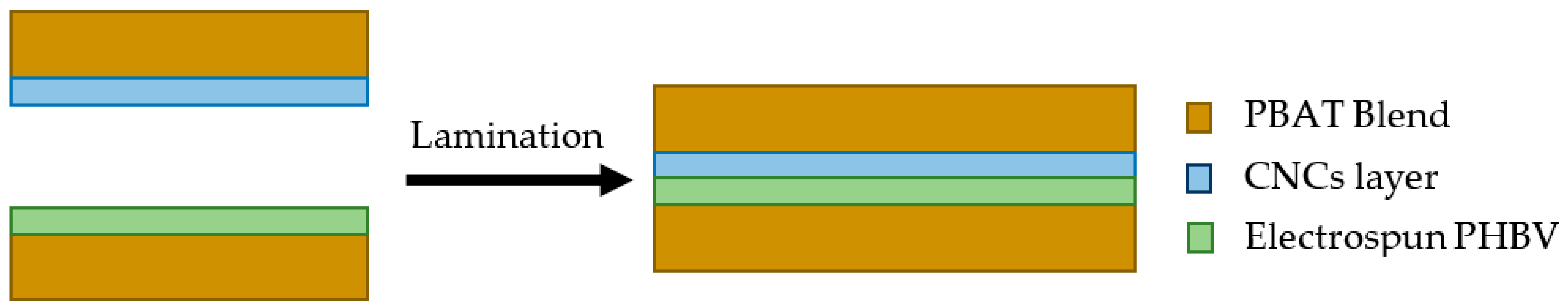 Polymers 16 02095 g001