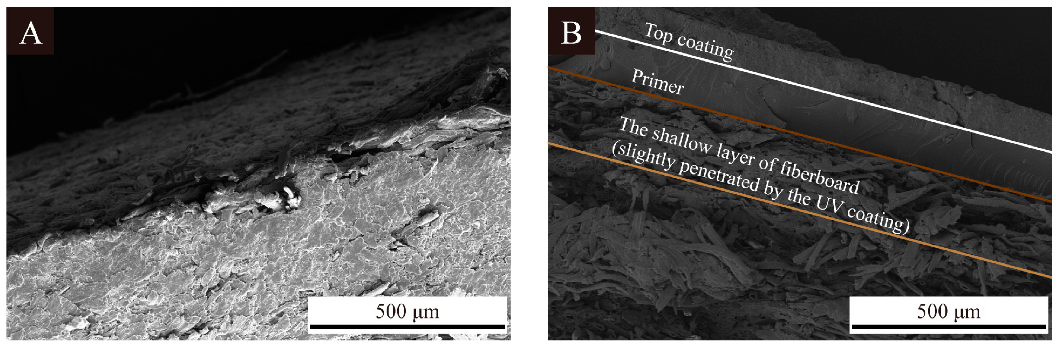 Polymers 16 02098 g007