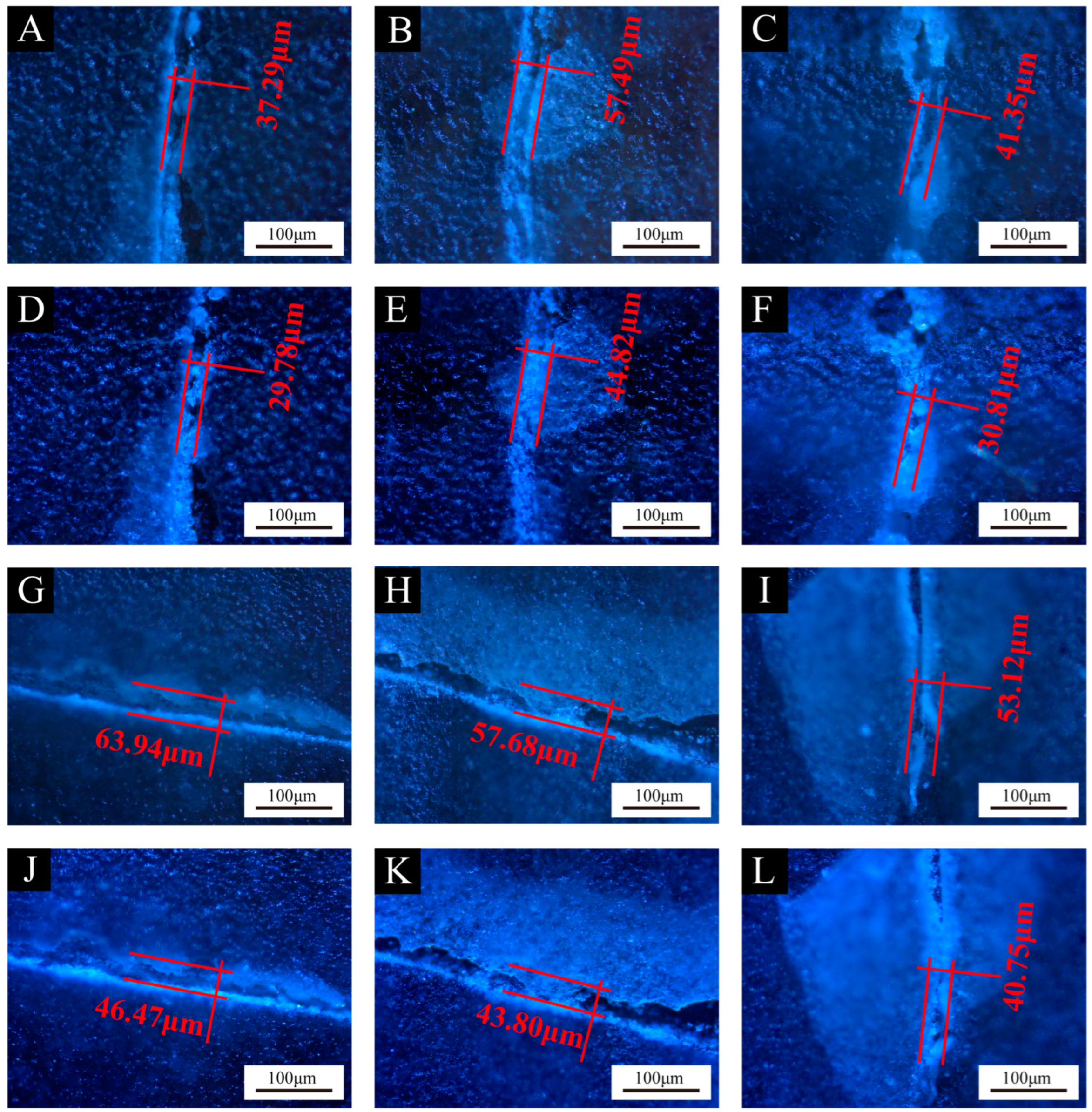 Polymers 16 02098 g012