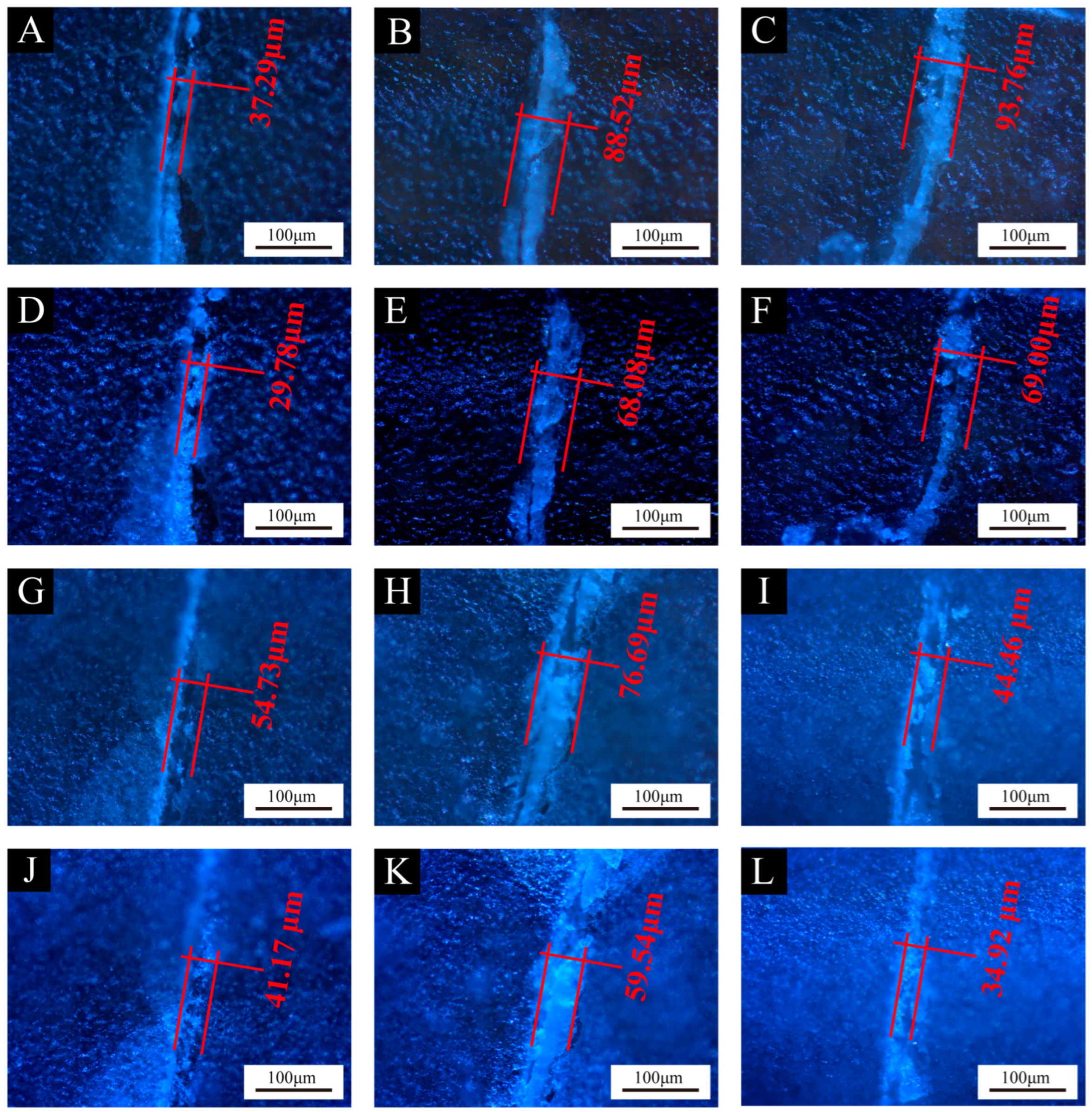 Polymers 16 02098 g013