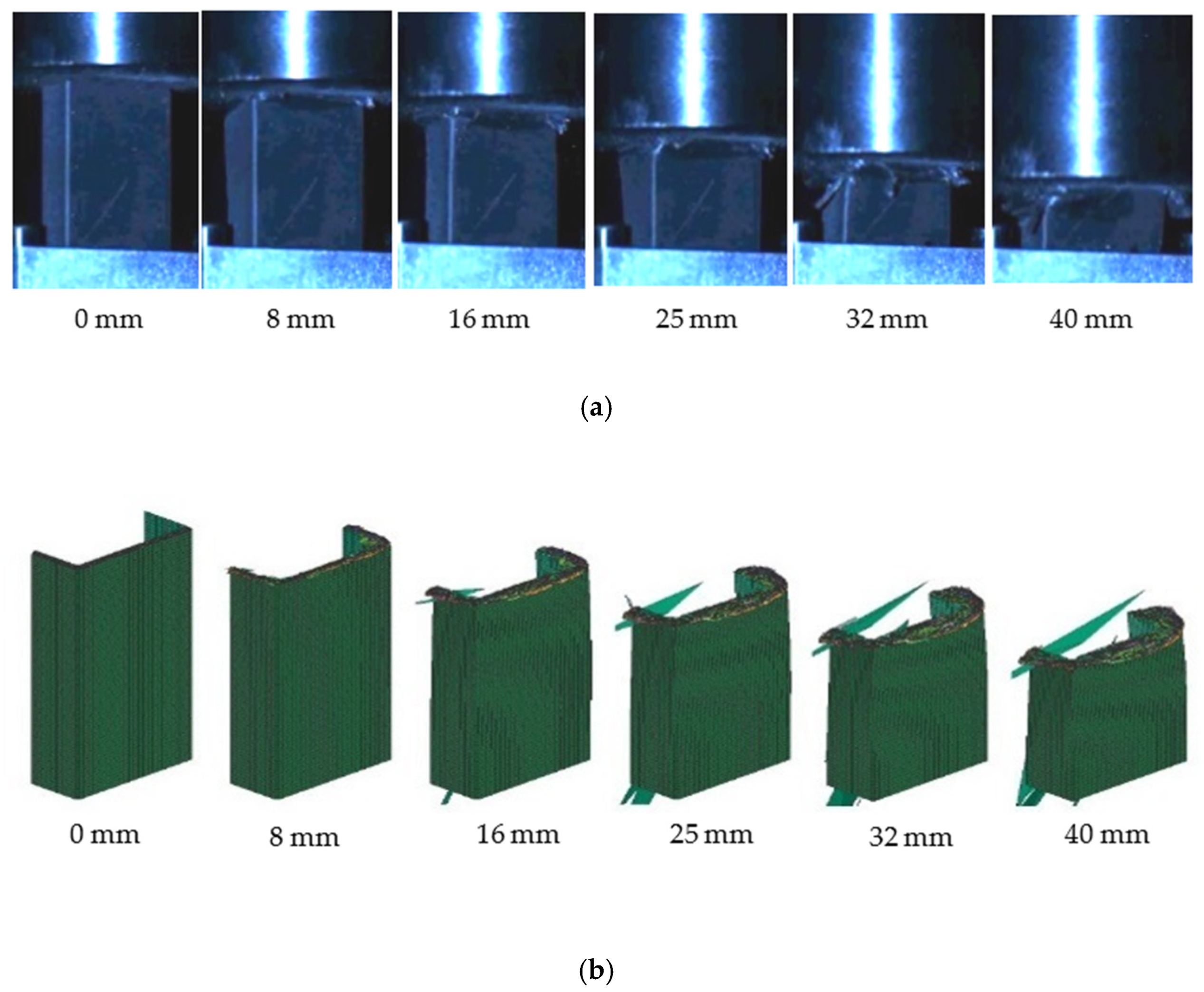 Polymers 16 02099 g015