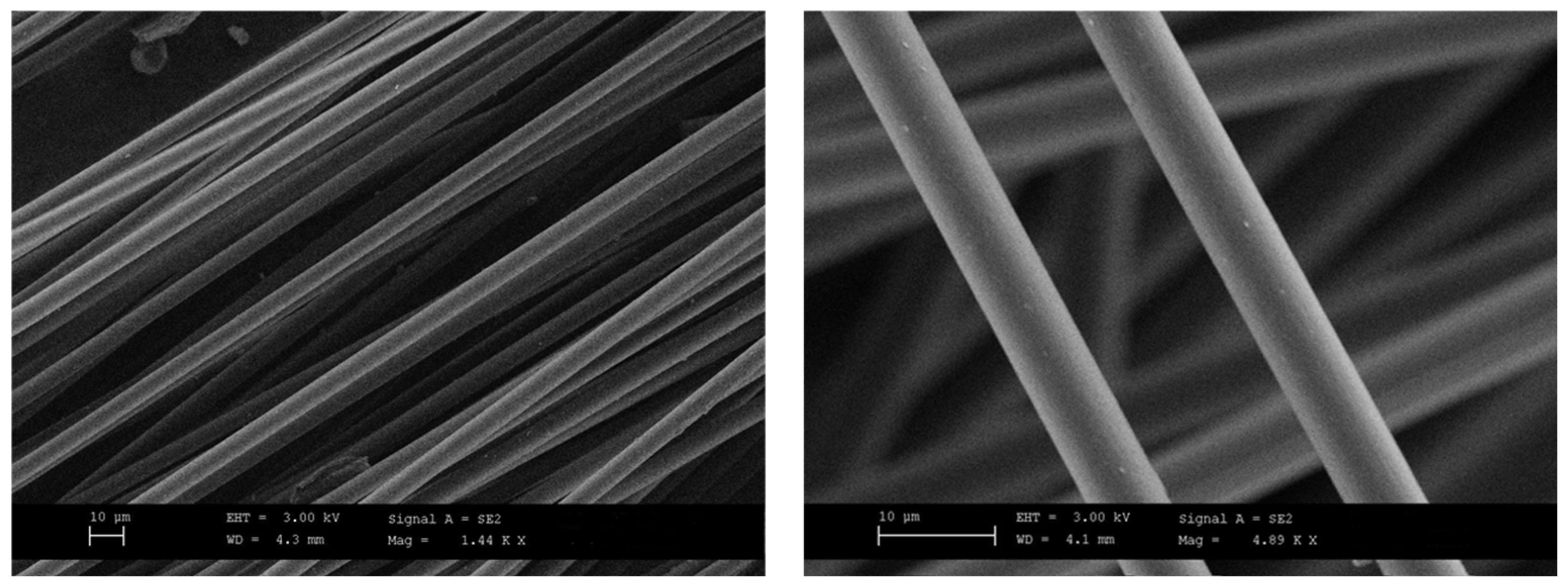 Polymers 16 02100 g001