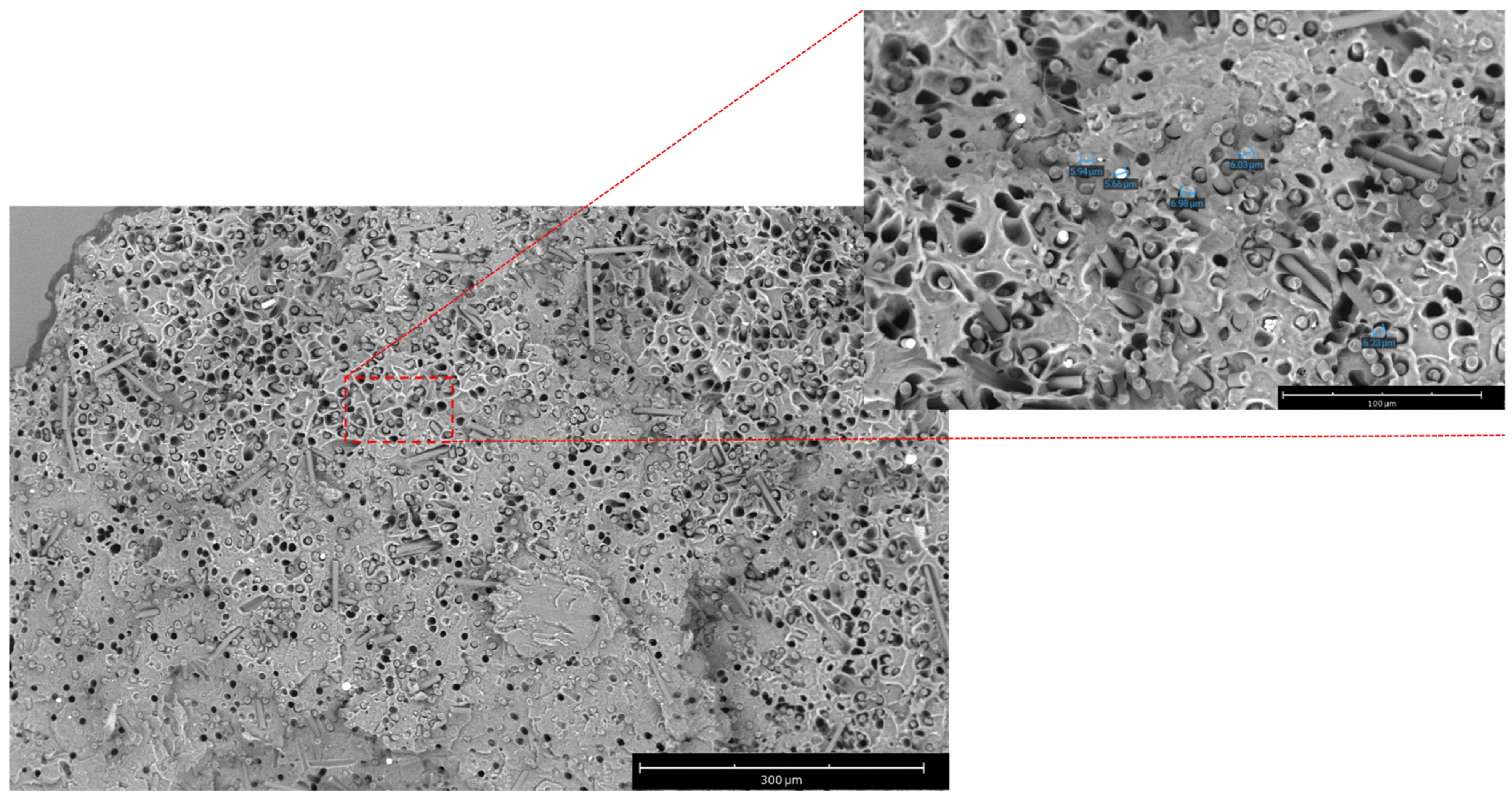 Polymers 16 02100 g004