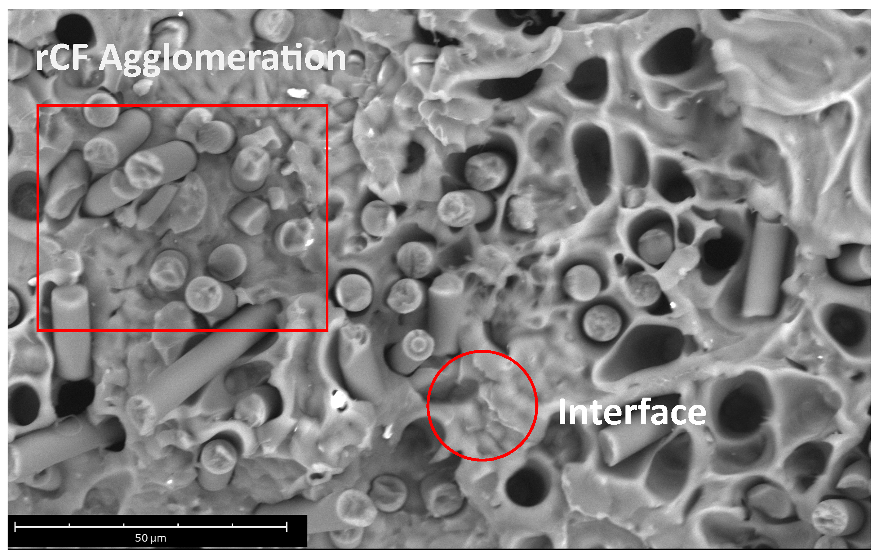 Polymers 16 02100 g010