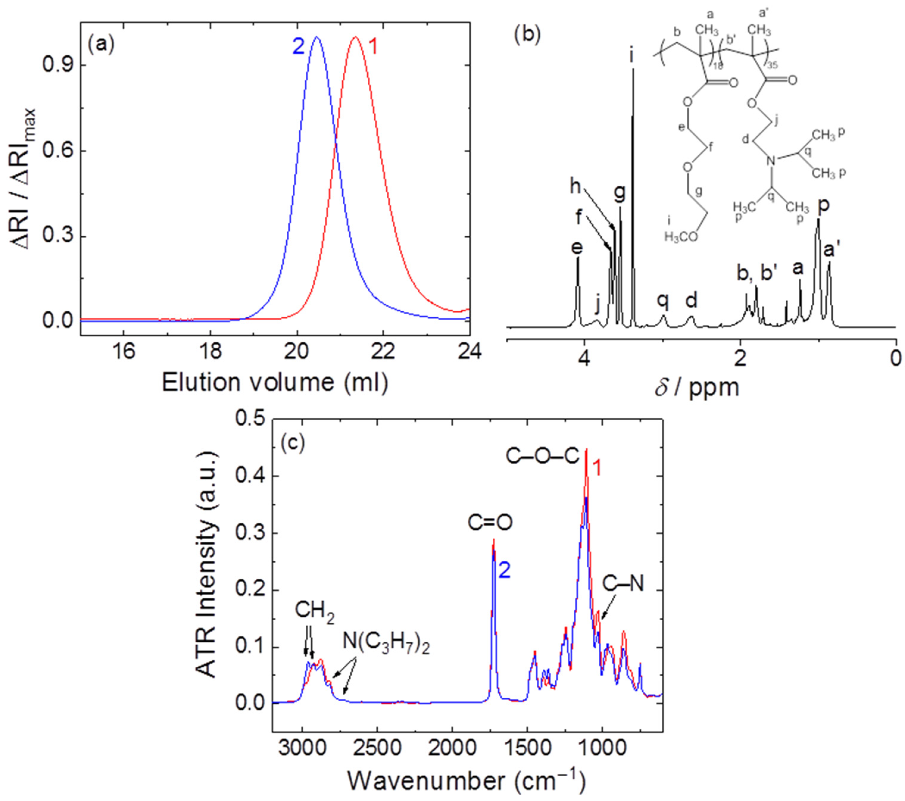 Polymers 16 02102 g001
