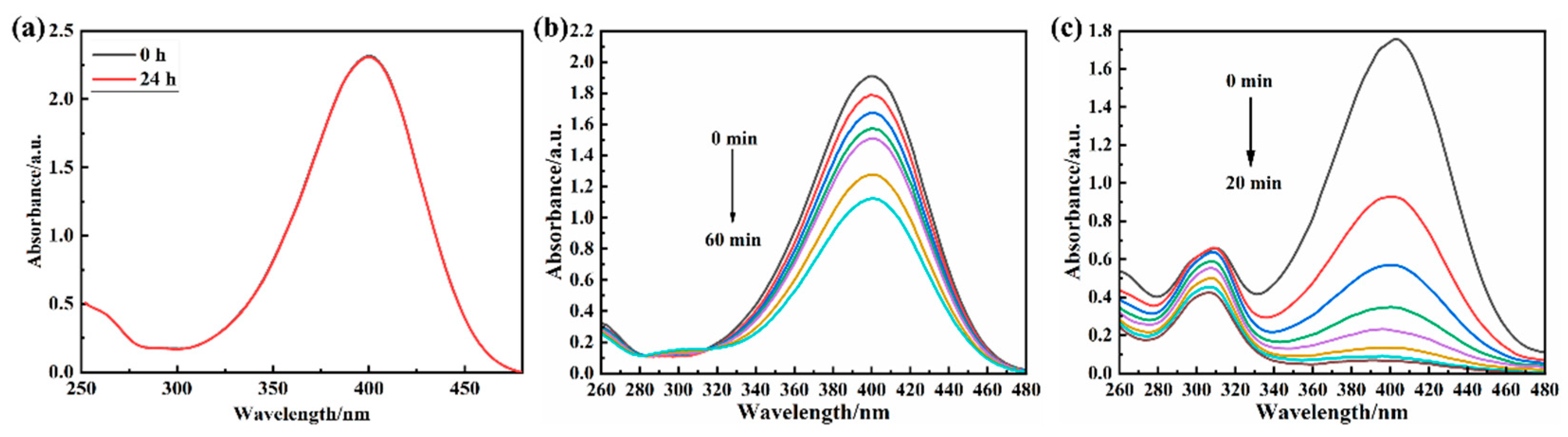 Polymers 16 02104 g004