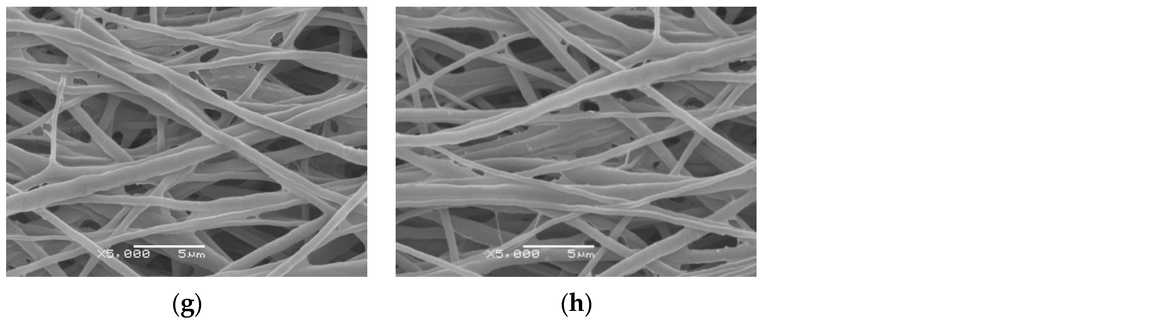 Polymers 16 02105 g001b