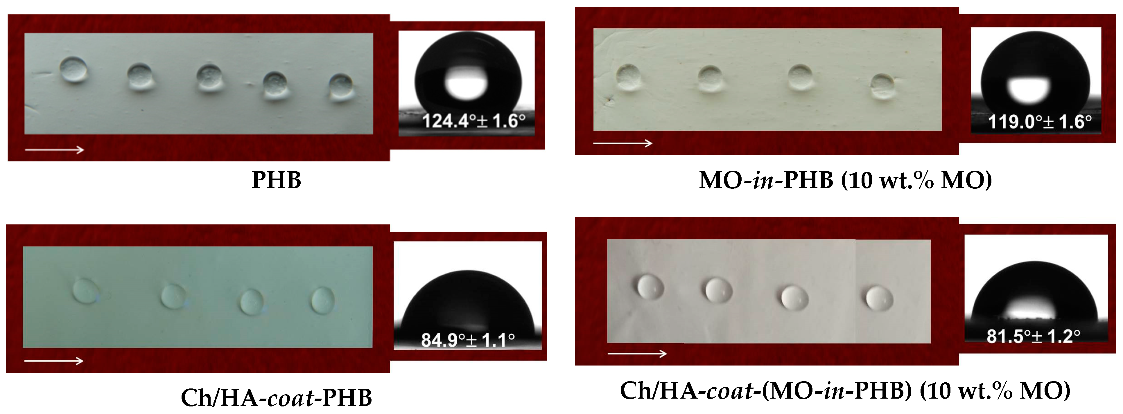 Polymers 16 02105 g003a