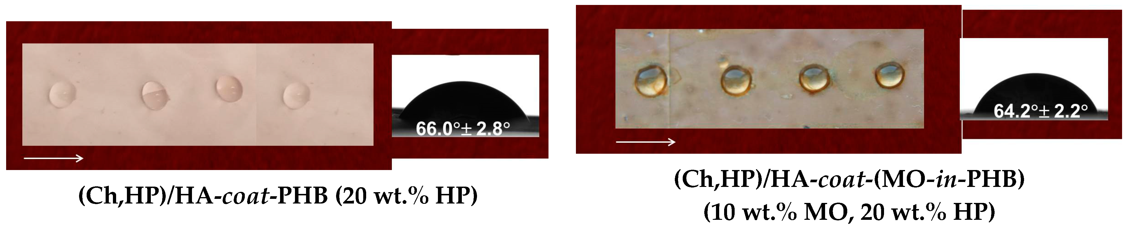 Polymers 16 02105 g003b