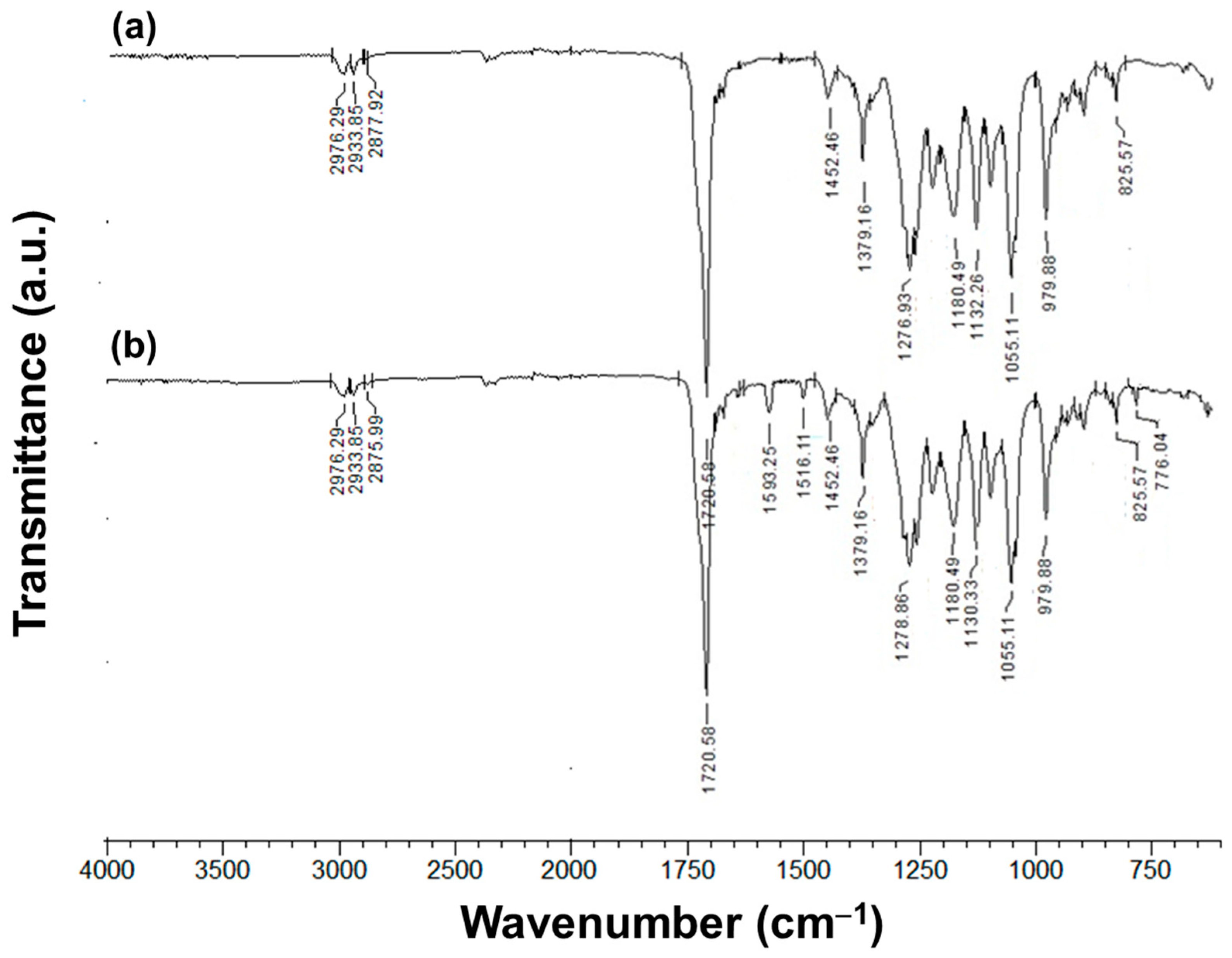 Polymers 16 02105 g004a