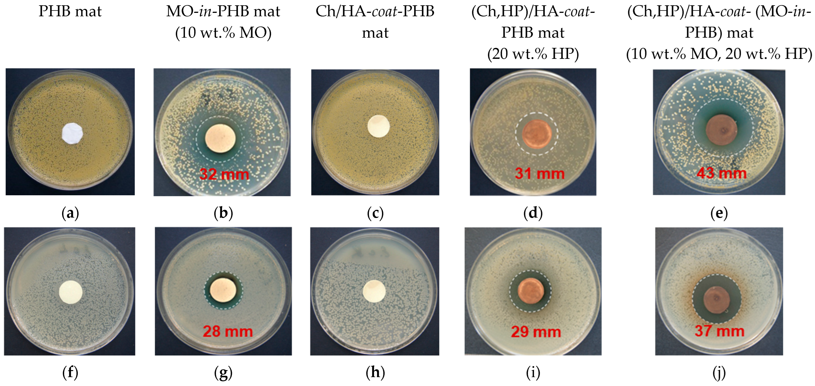 Polymers 16 02105 g008