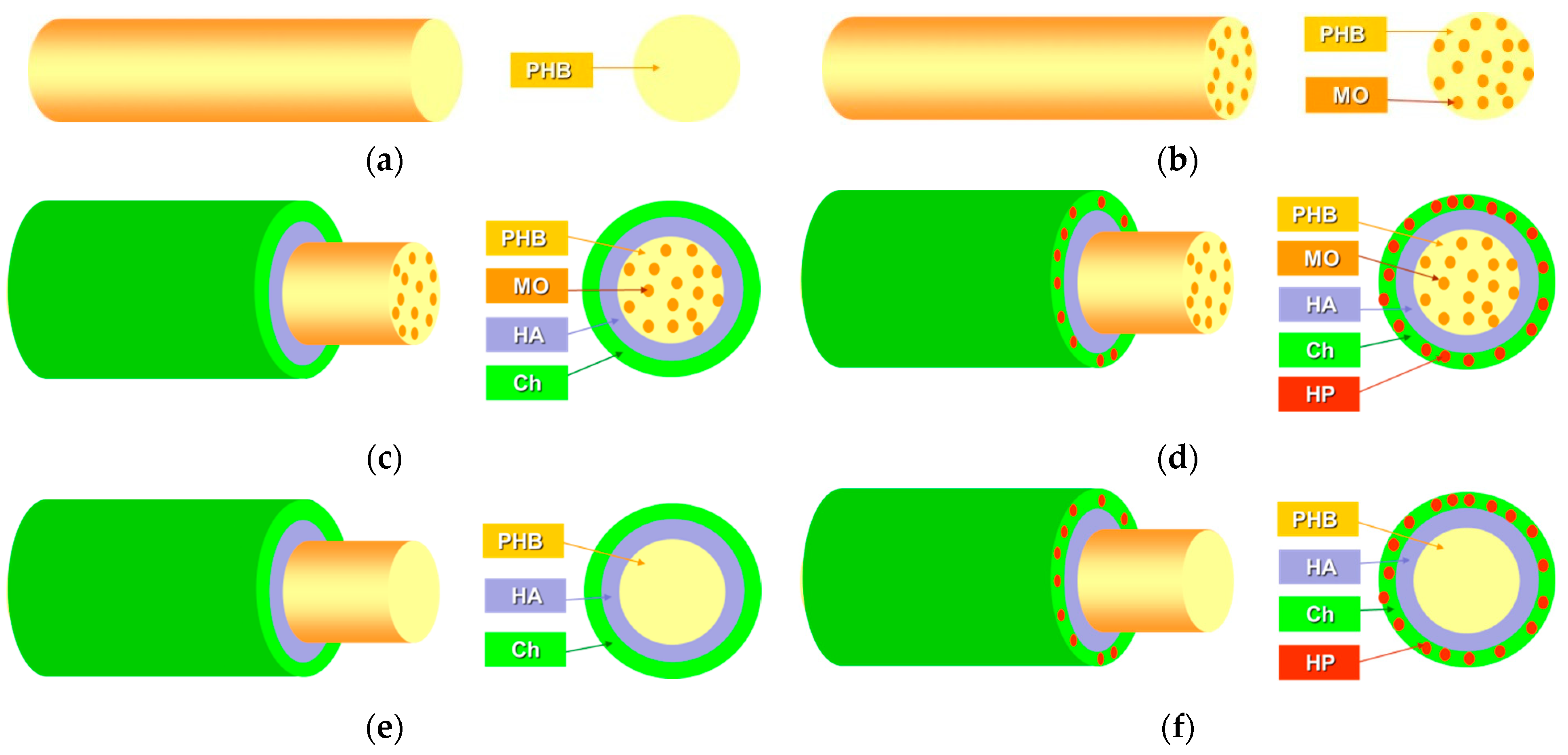 Polymers 16 02105 sch001