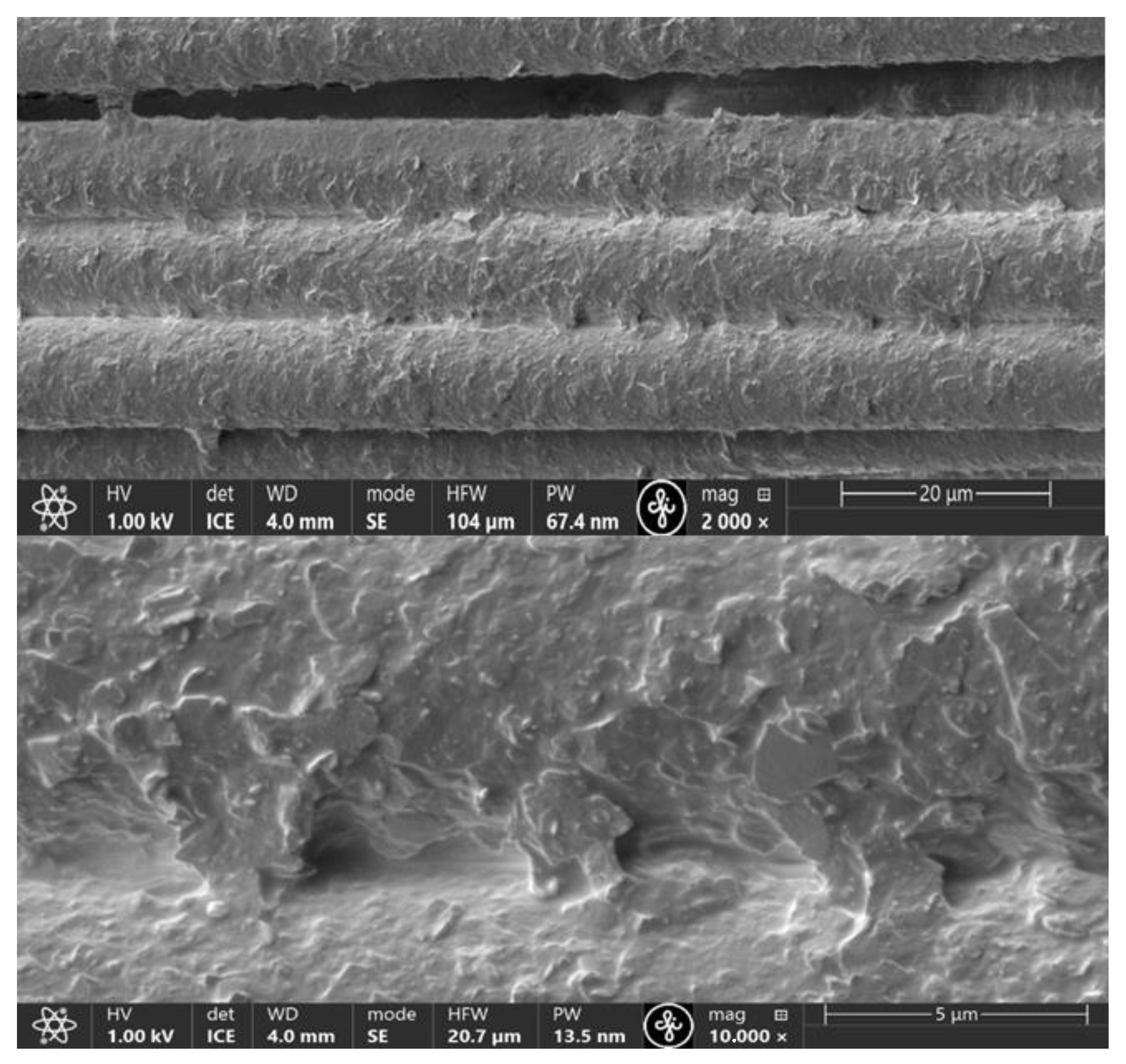 Polymers 16 02106 g007