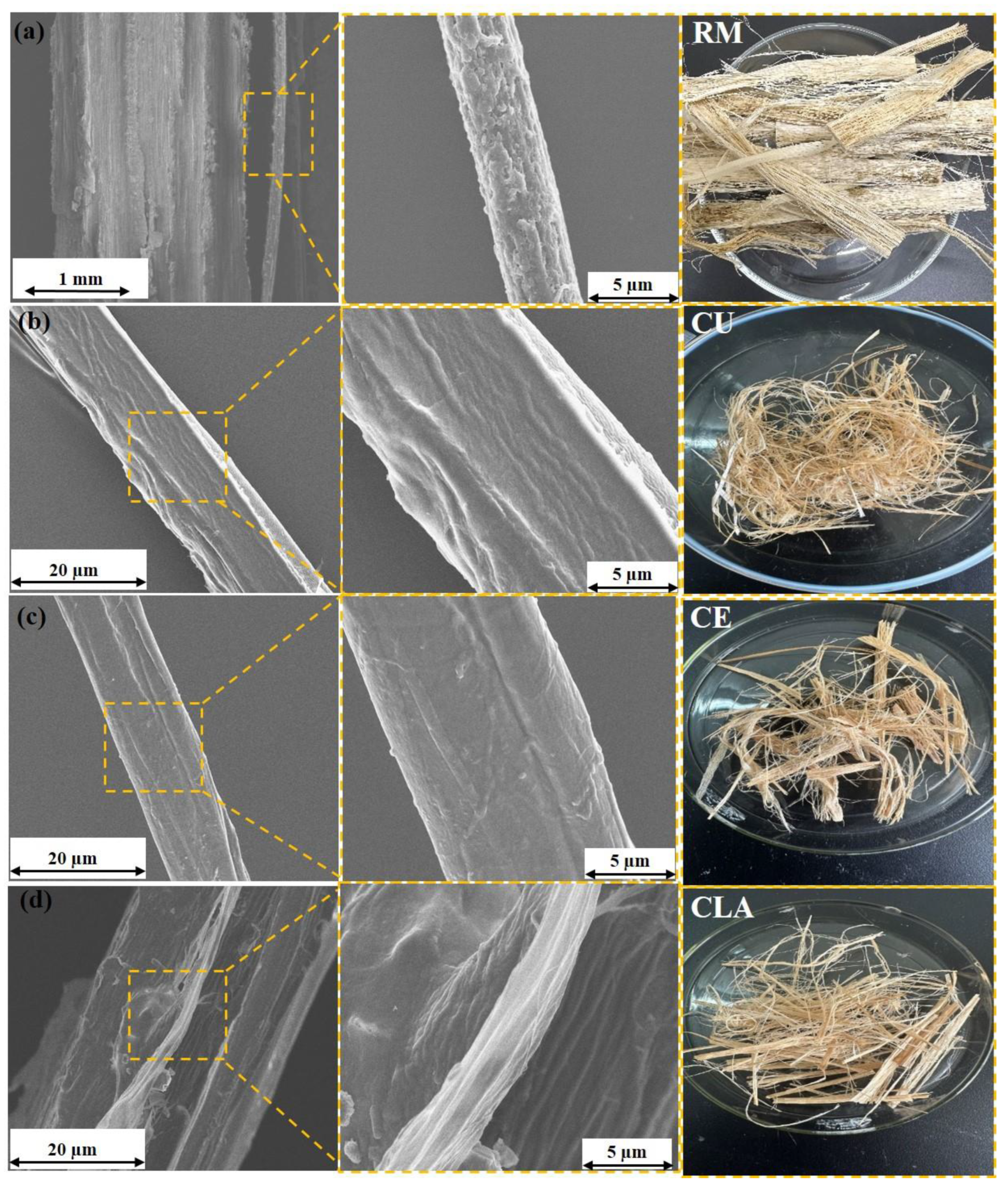 Polymers 16 02112 g001