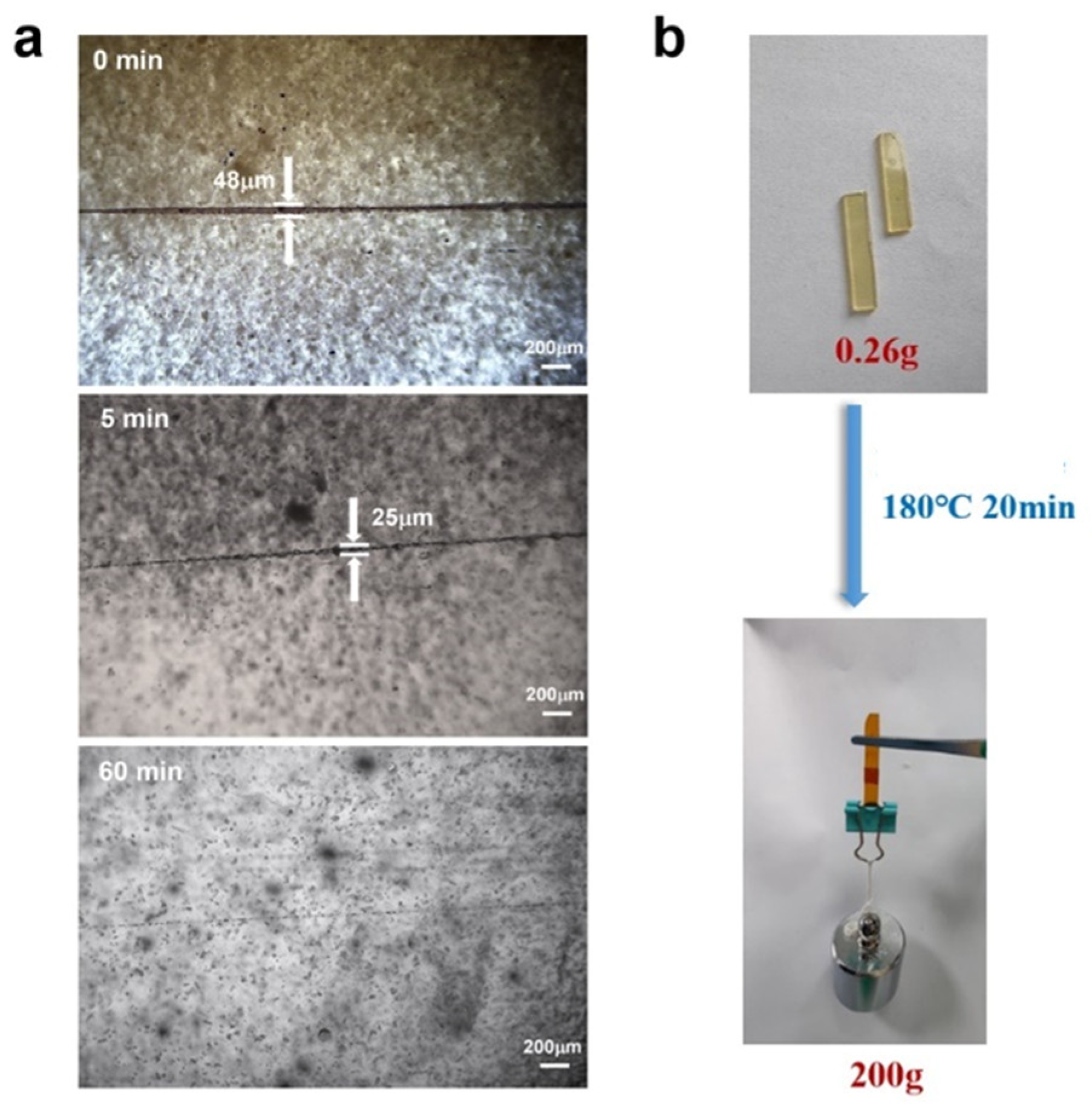 Polymers 16 02113 g004