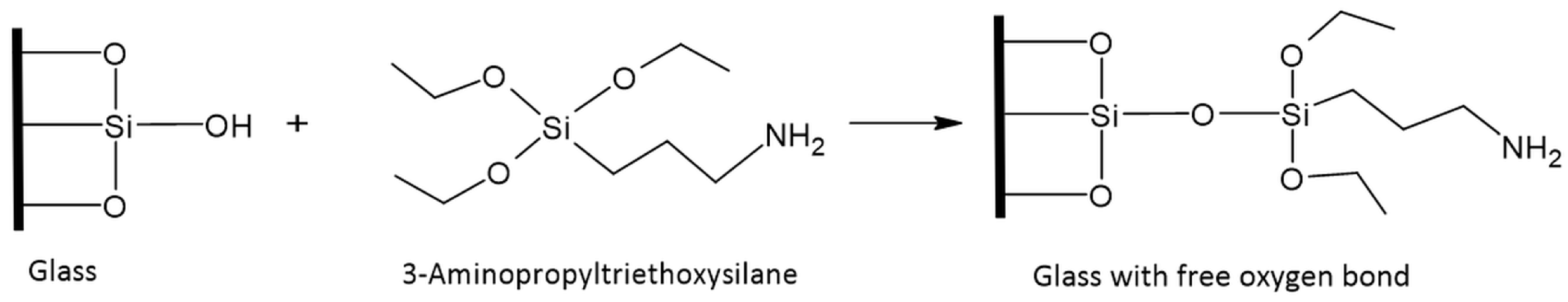 Polymers 16 02114 g002