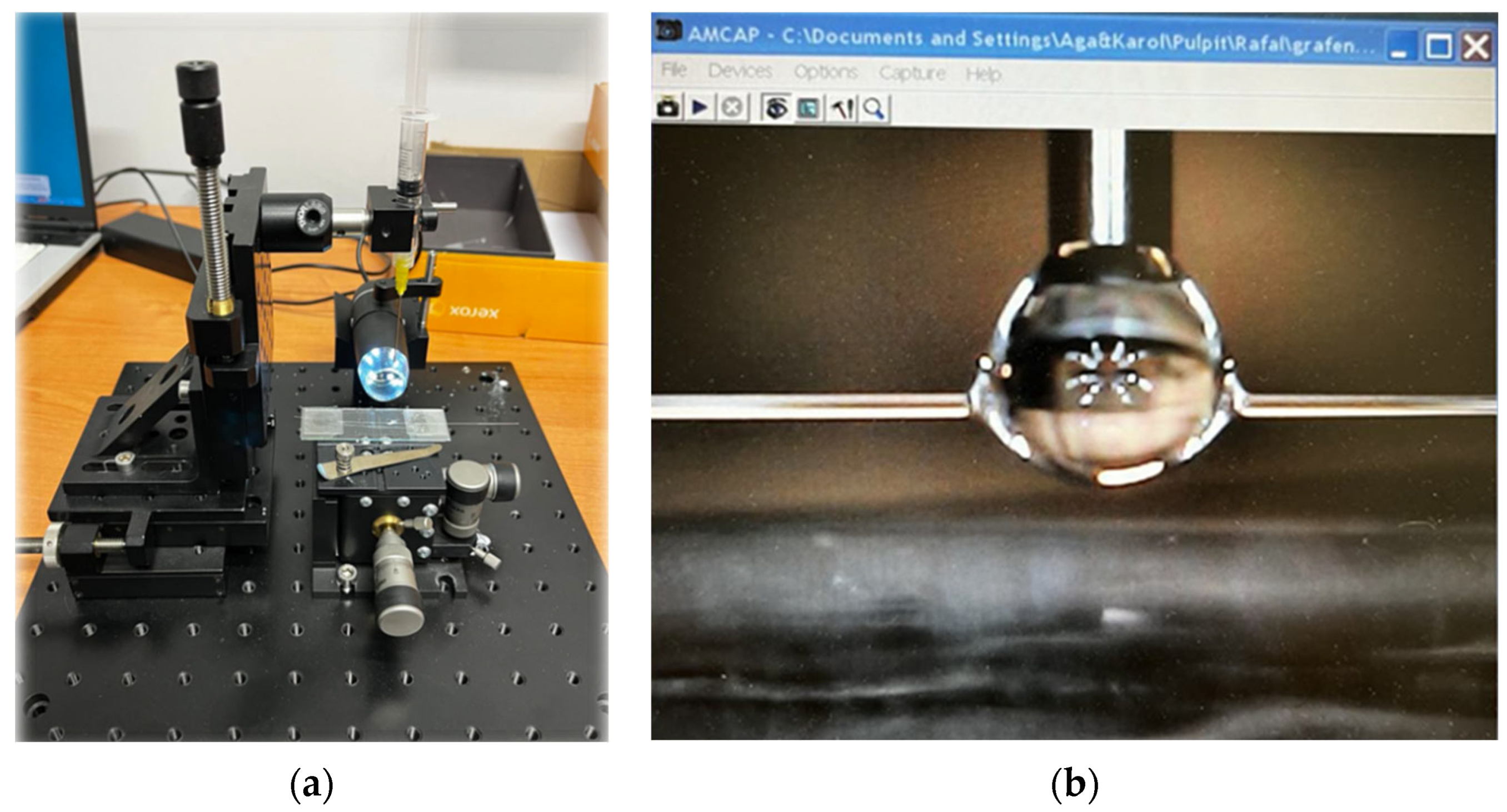 Polymers 16 02114 g004