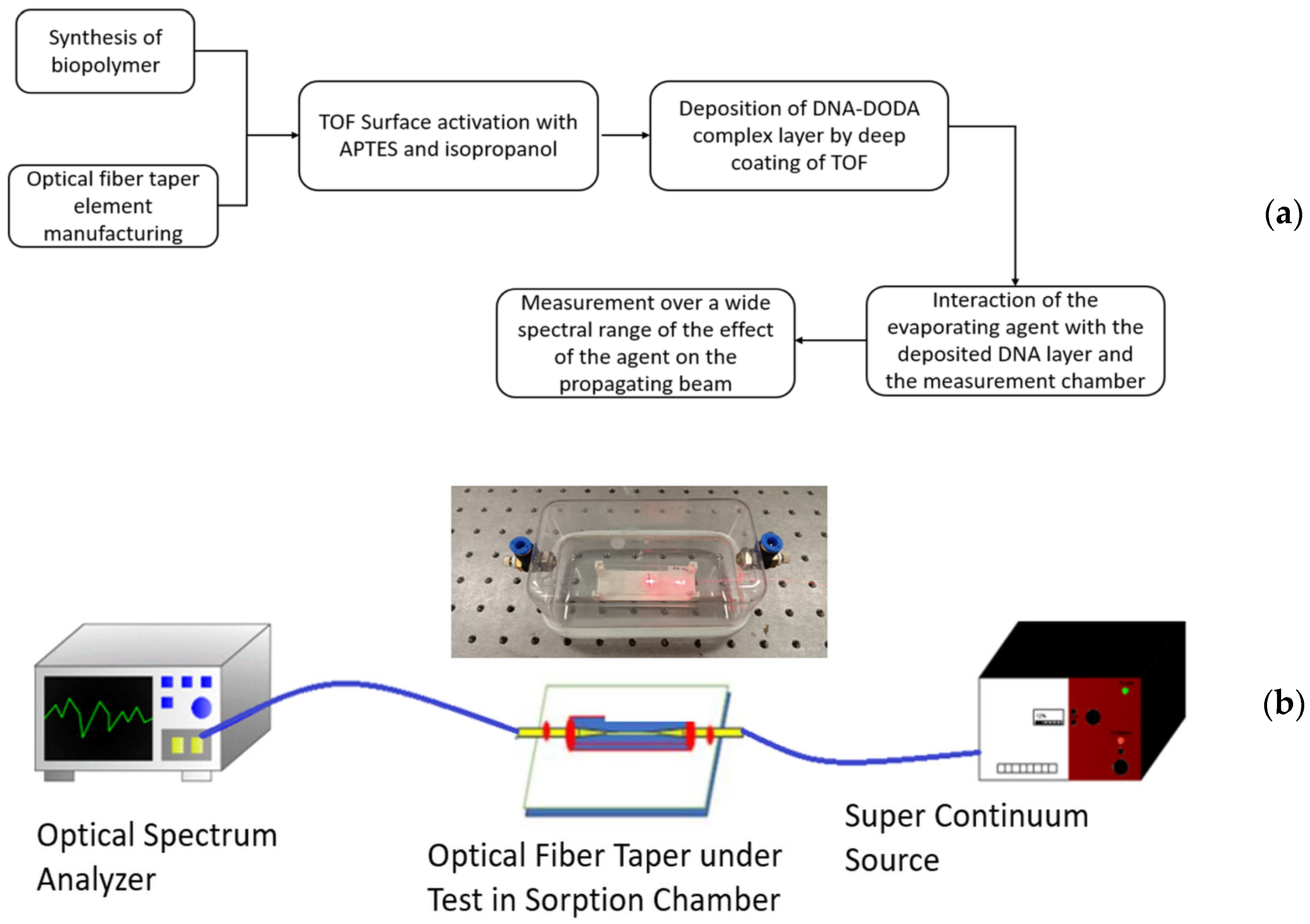 Polymers 16 02114 g005